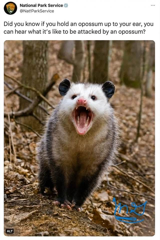 user avatar image for DogMom214