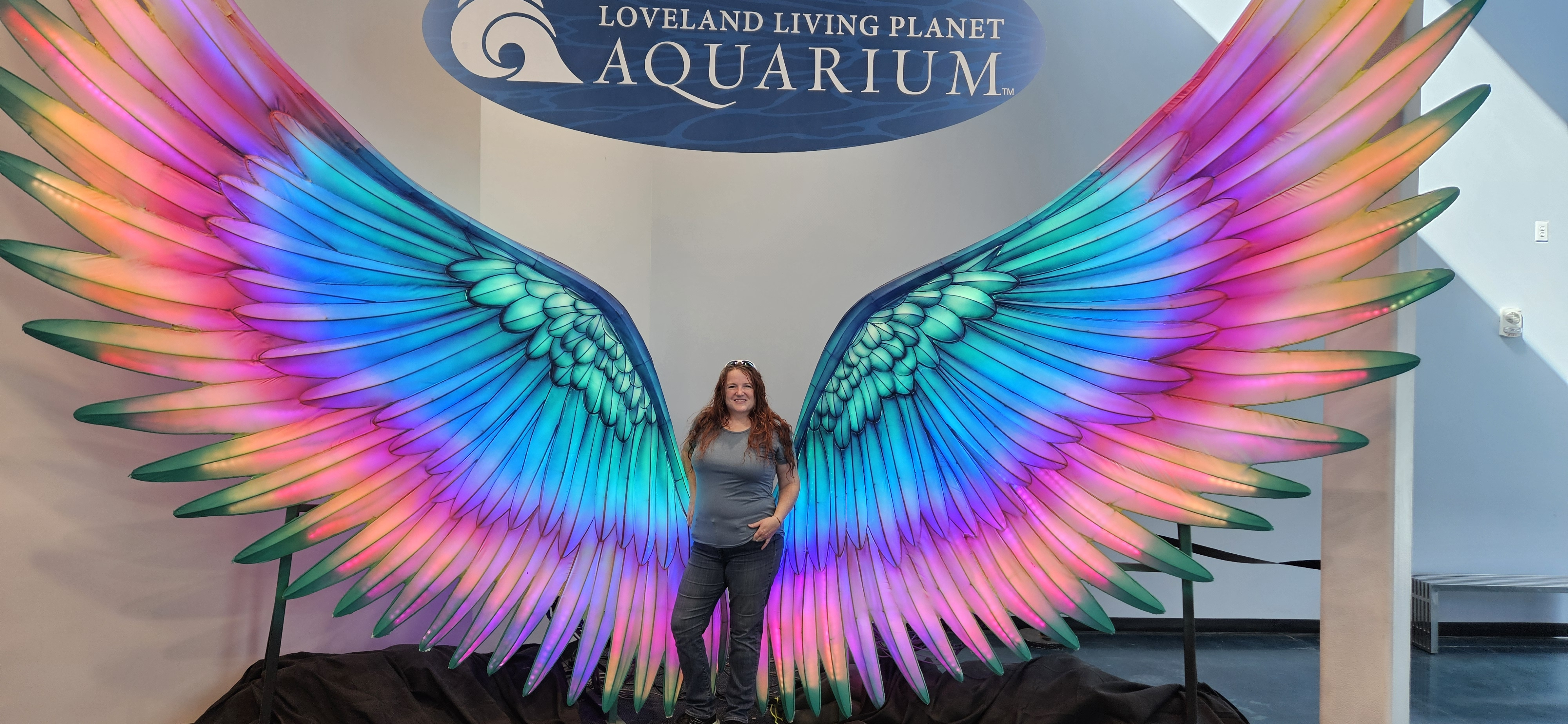 user avatar image for Amber Bennett 