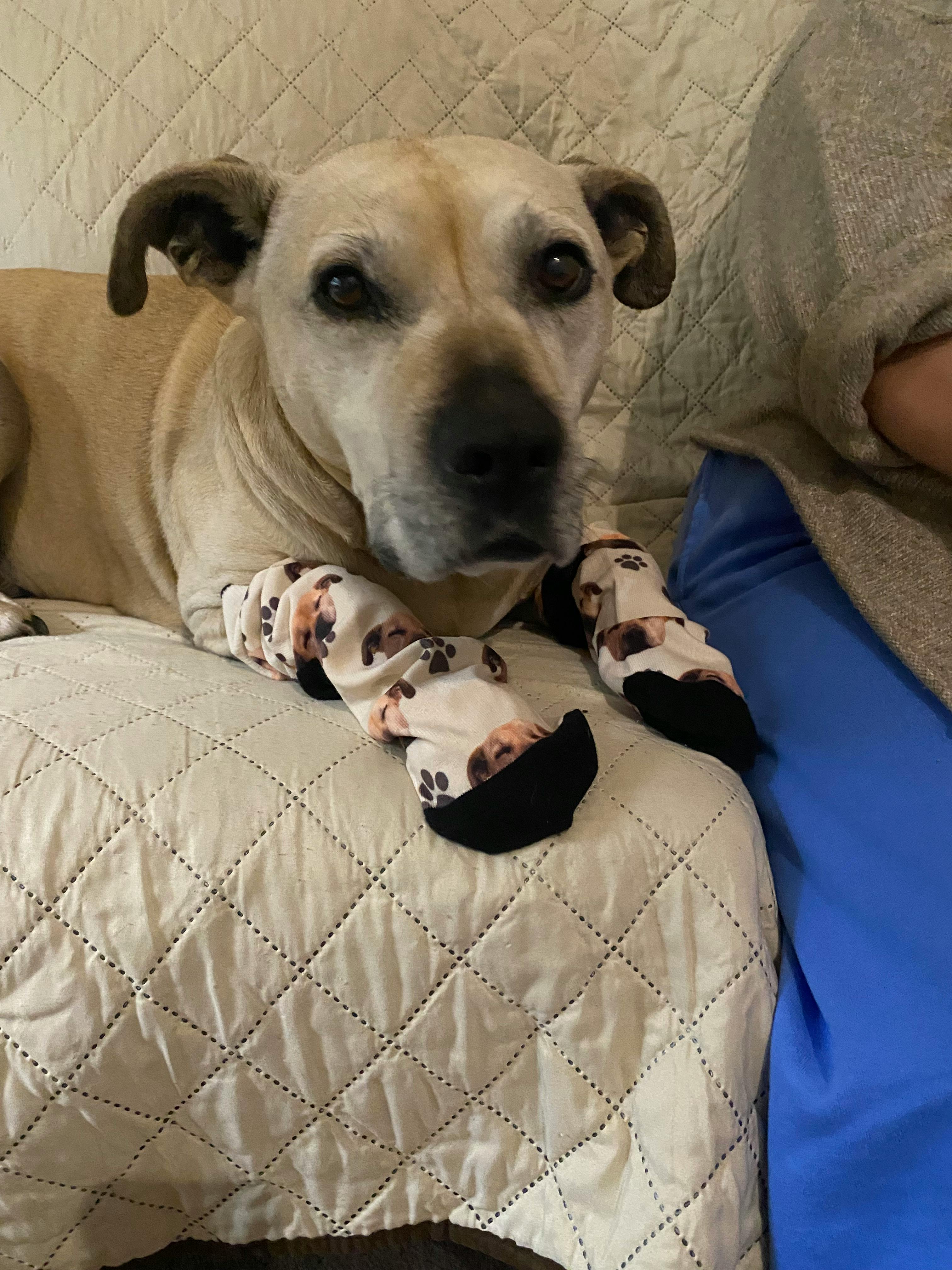 user avatar image for Jessica