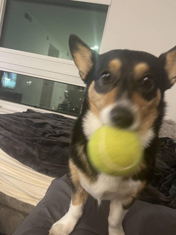 user avatar image for Kyle