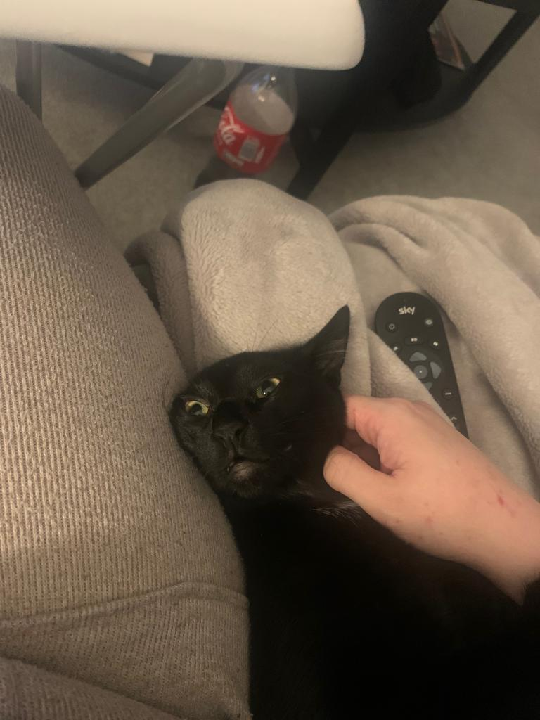 user avatar image for Adam Paris