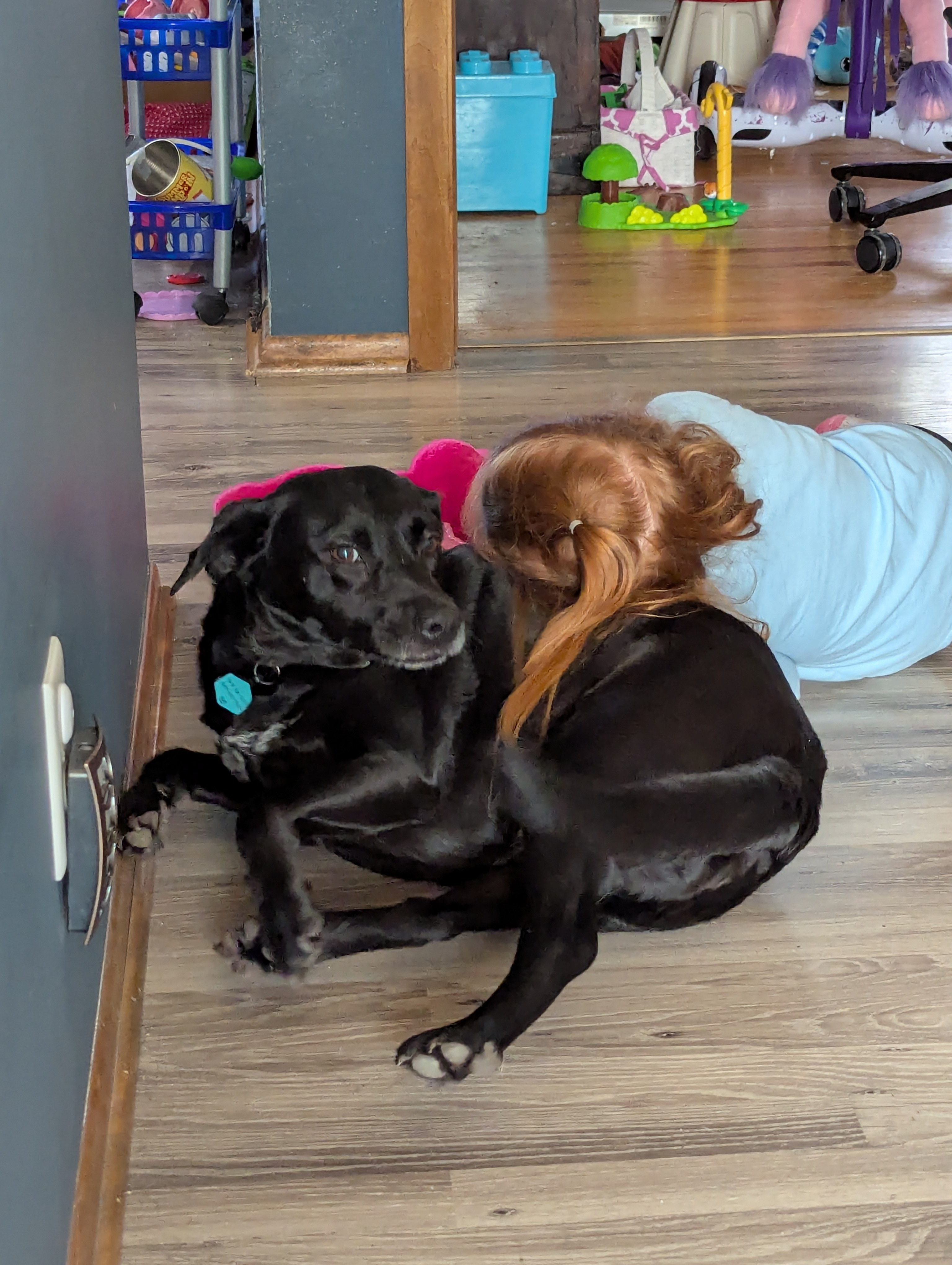 user avatar image for Derek Jackson