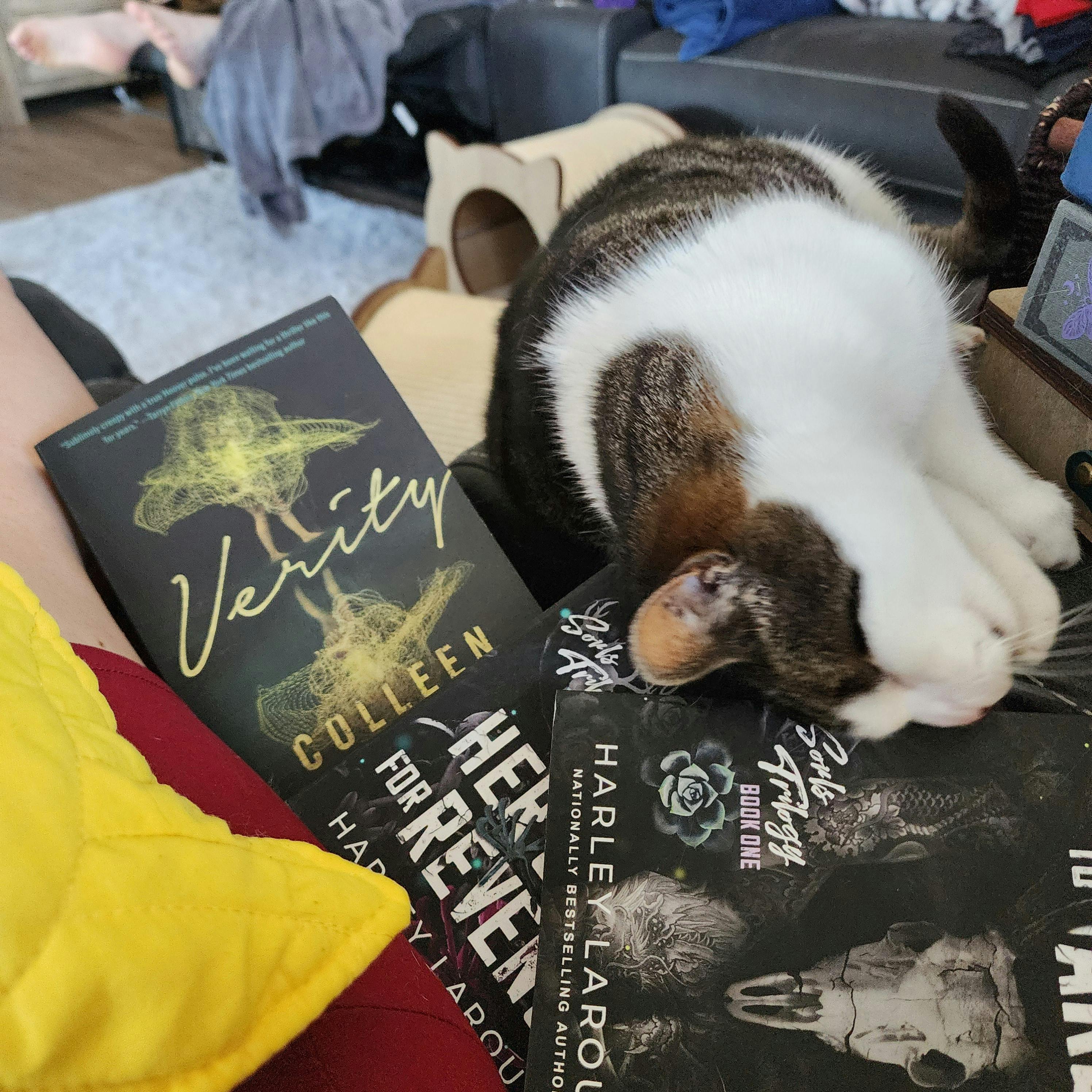 user avatar image for Rebecca O'Neill 