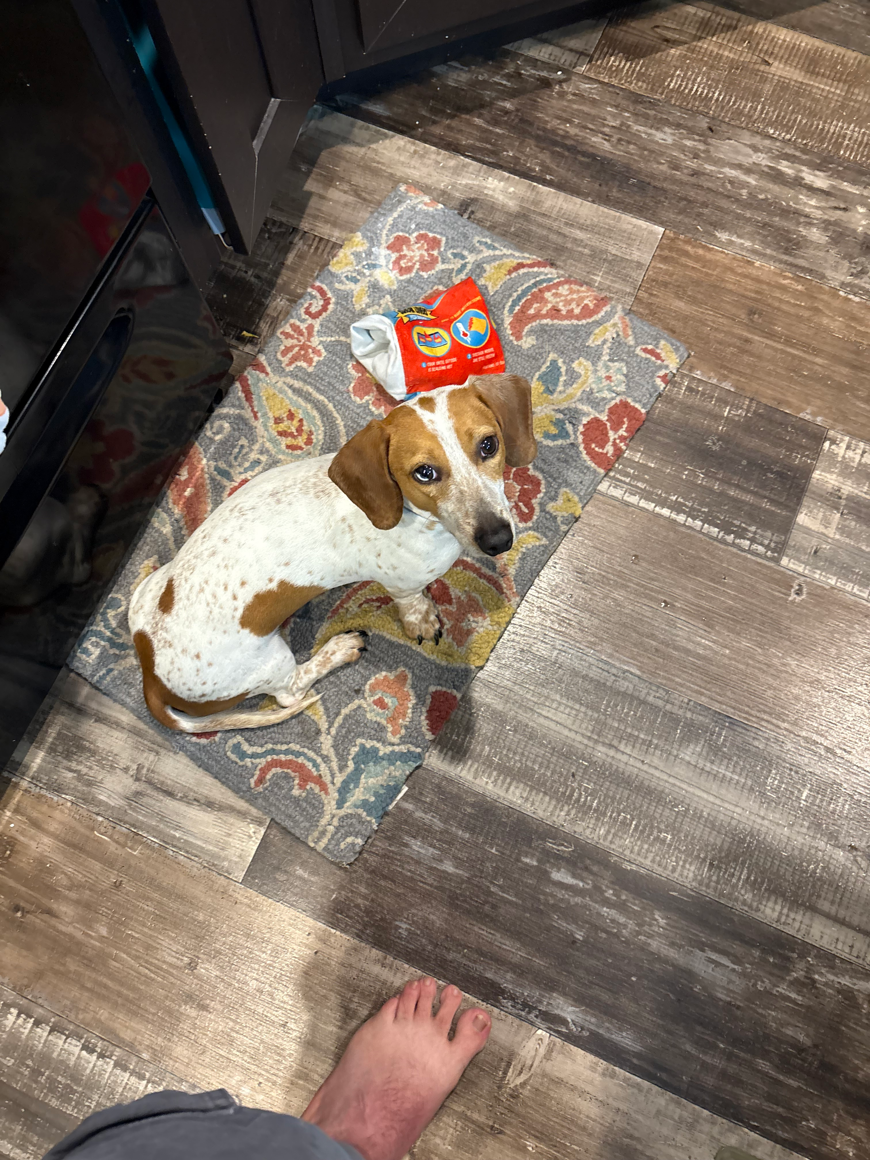 user avatar image for Jacob Cooper