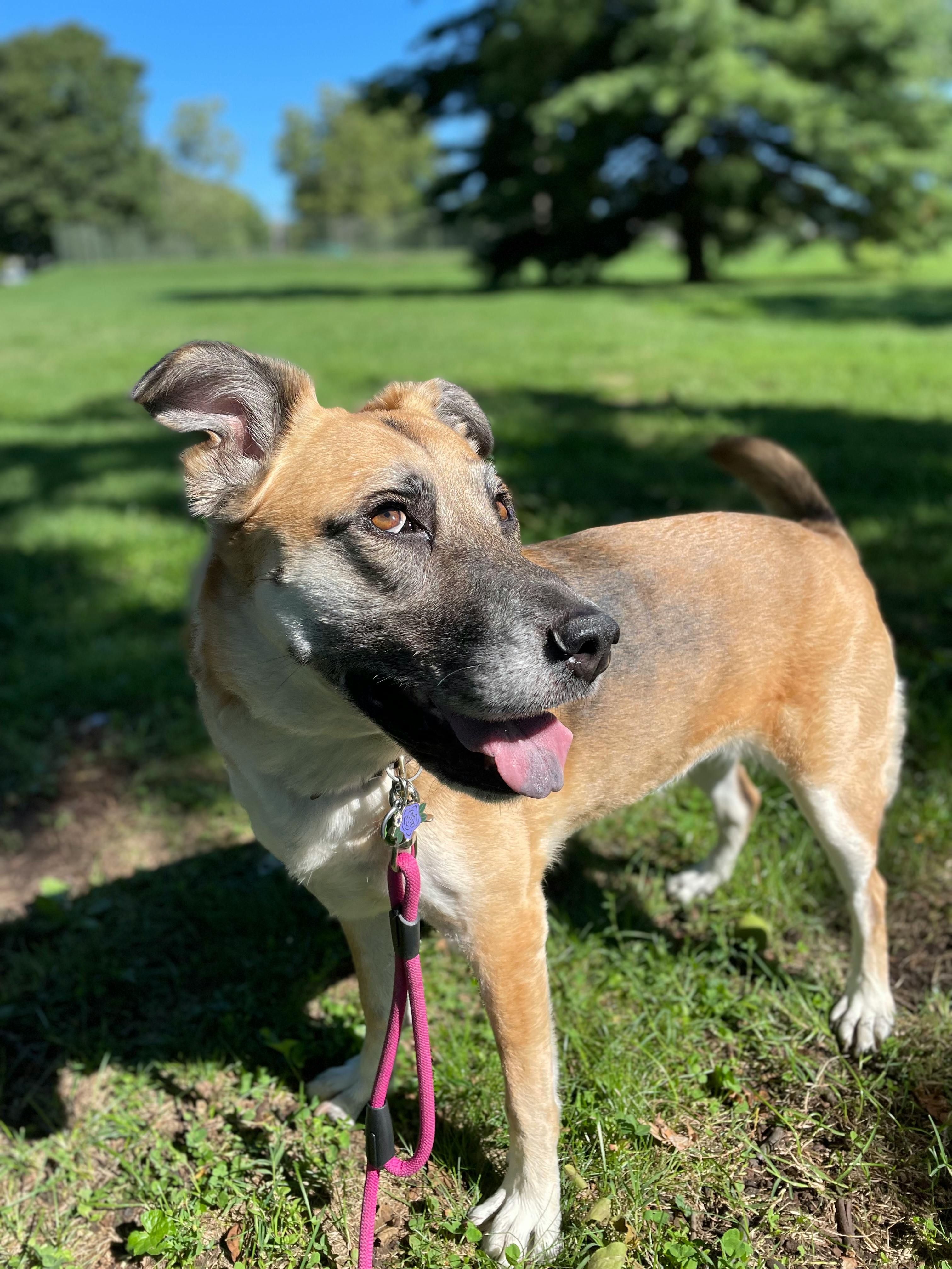 user avatar image for Chris Upton