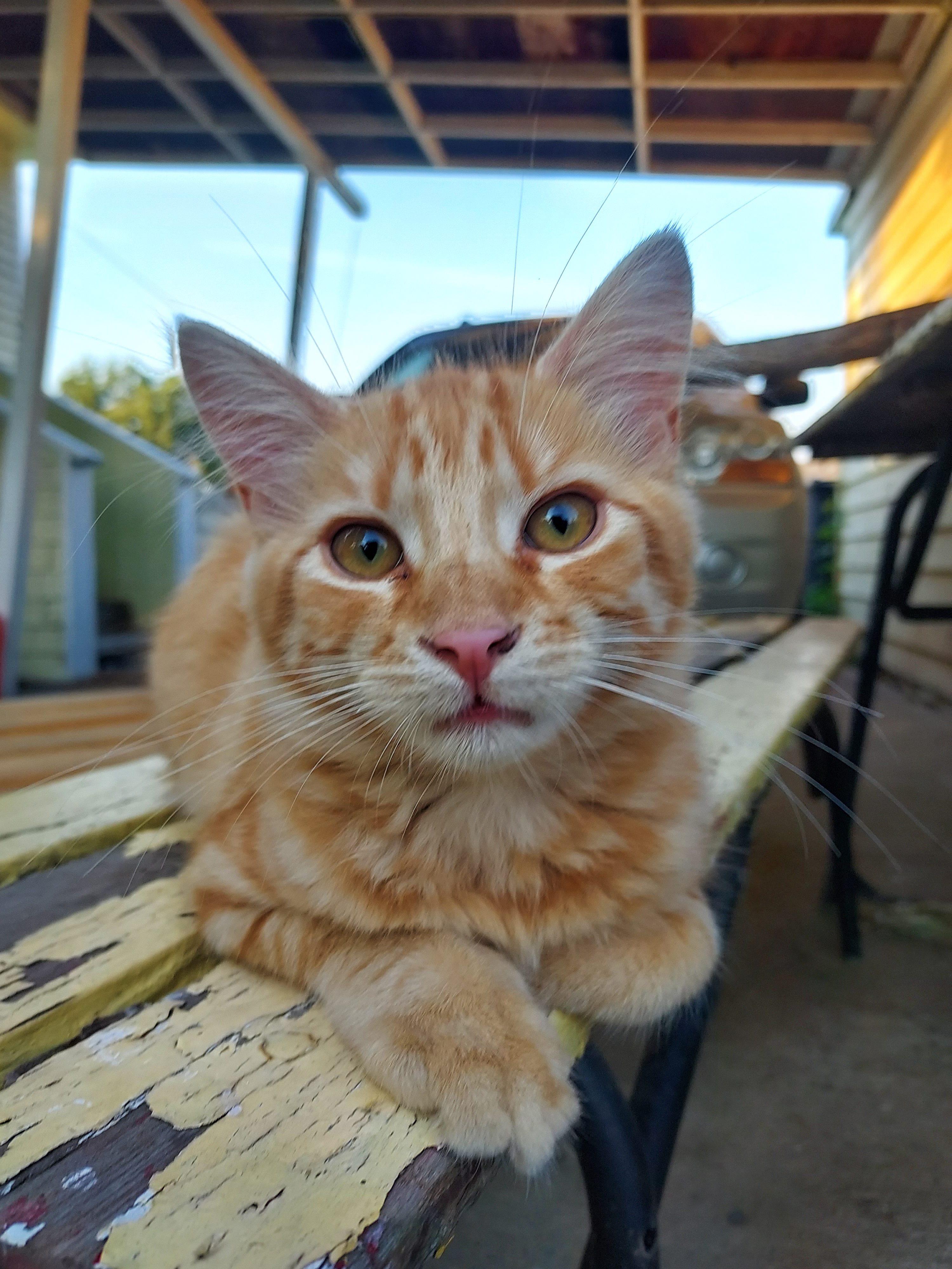 user avatar image for Coriander5