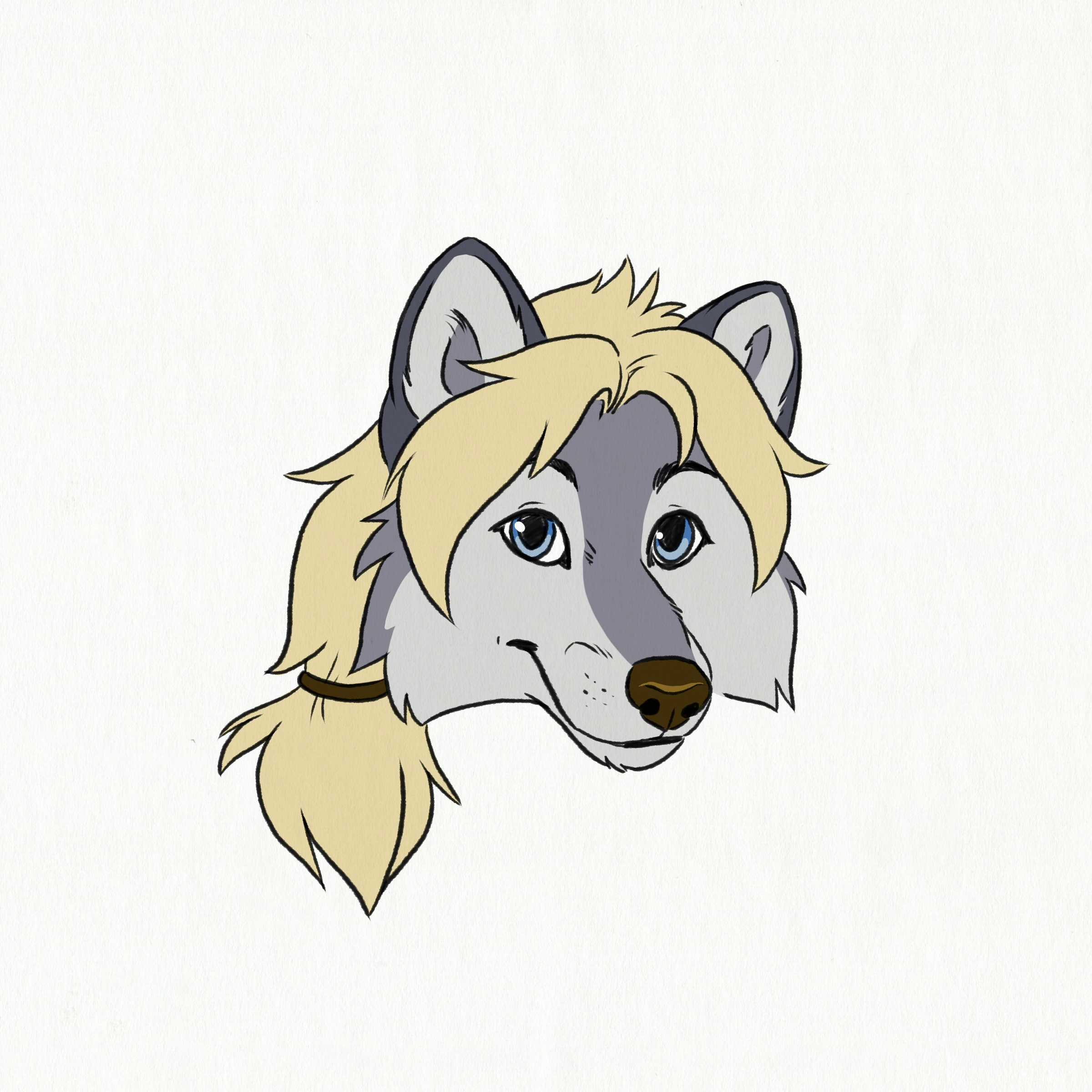 user avatar image for OldeWolfe
