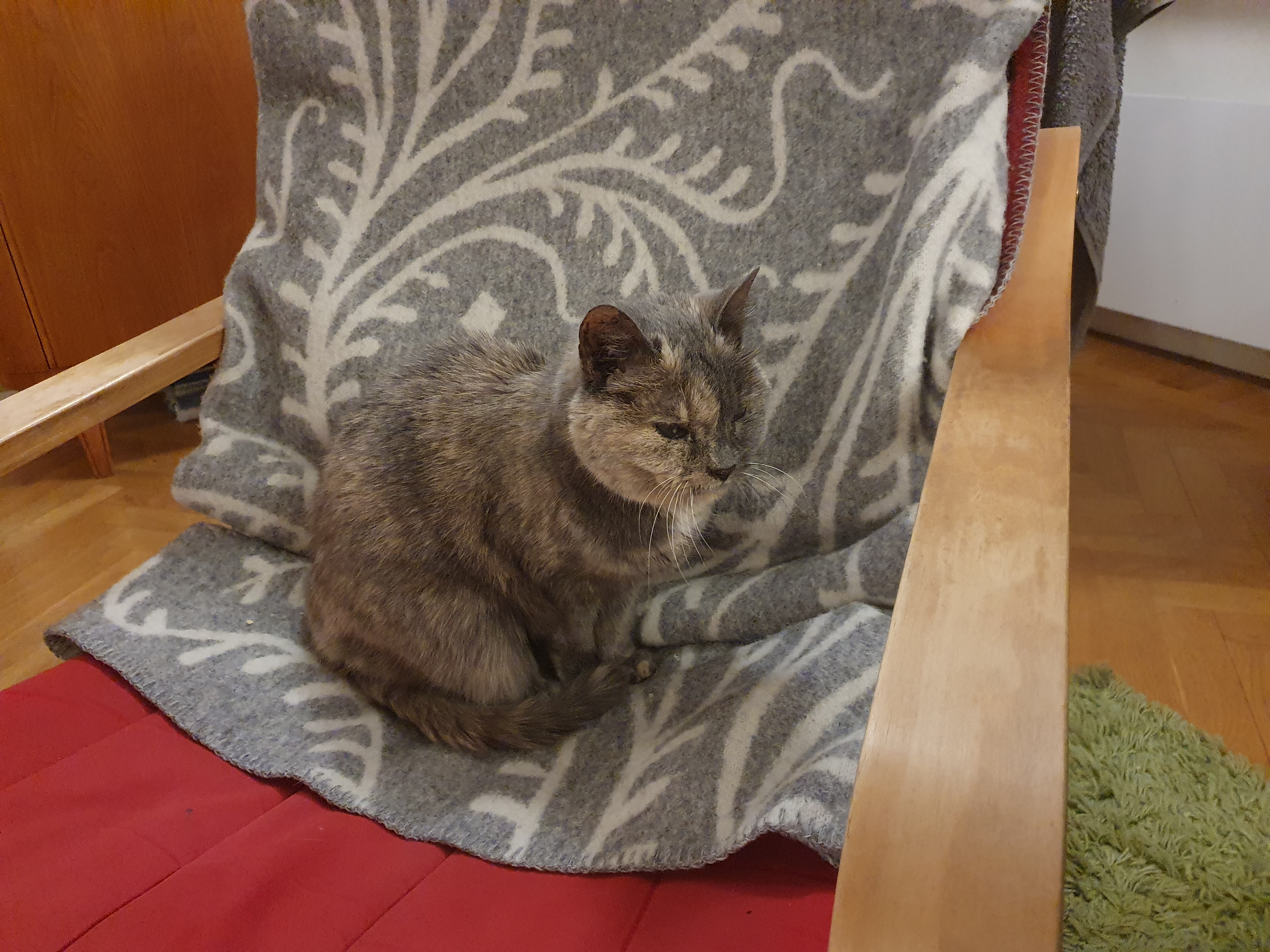 user avatar image for Cohrn