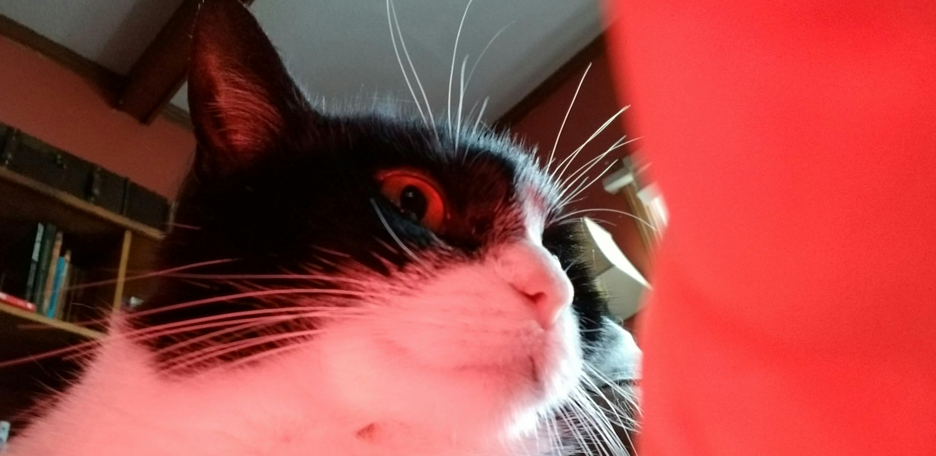 user avatar image for Kevin Craig