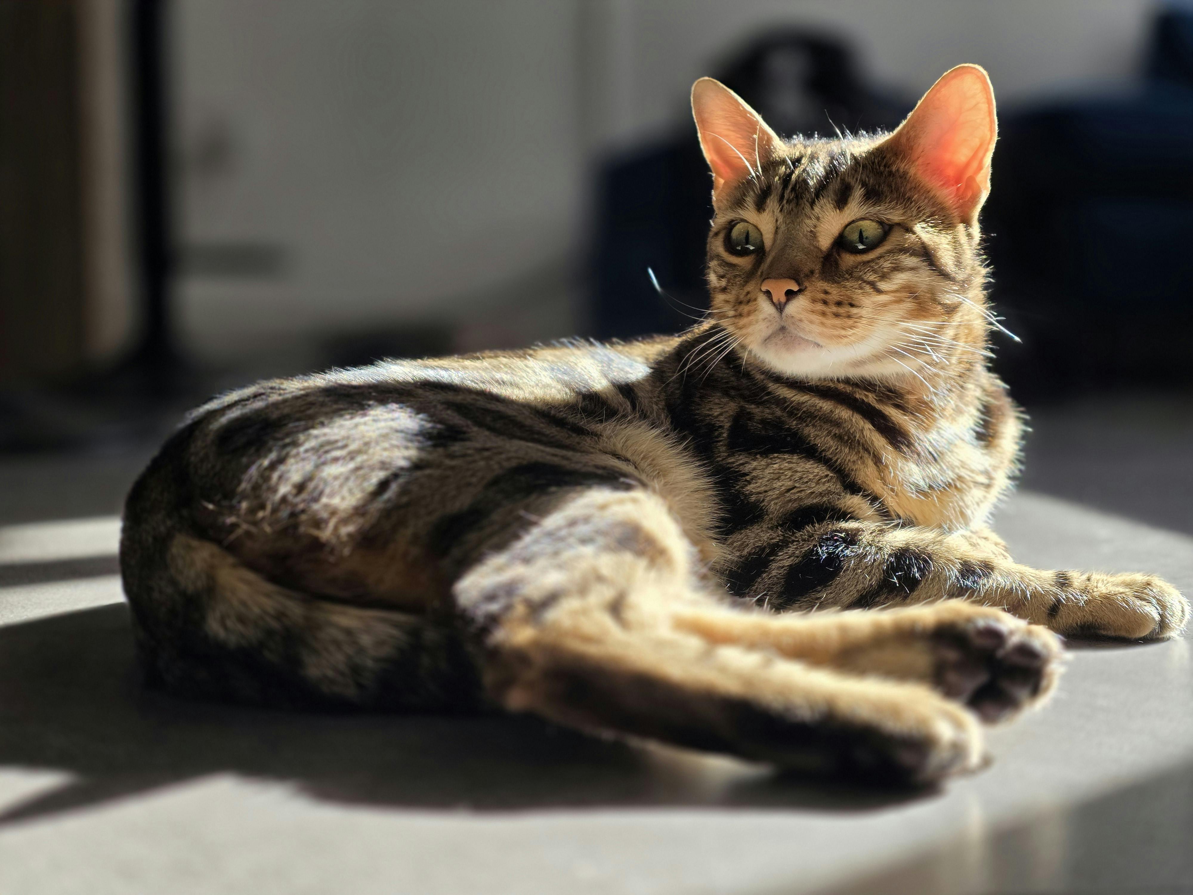 user avatar image for John