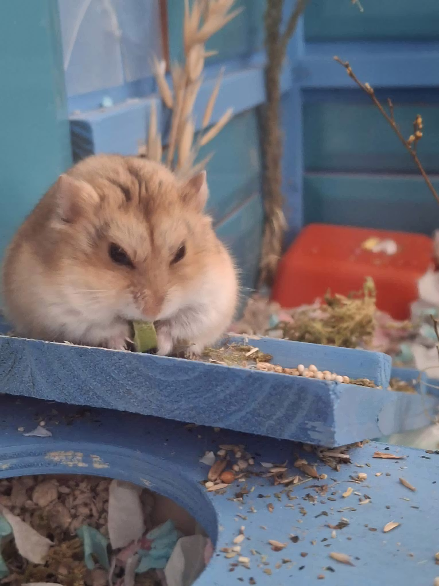 user avatar image for C mundy