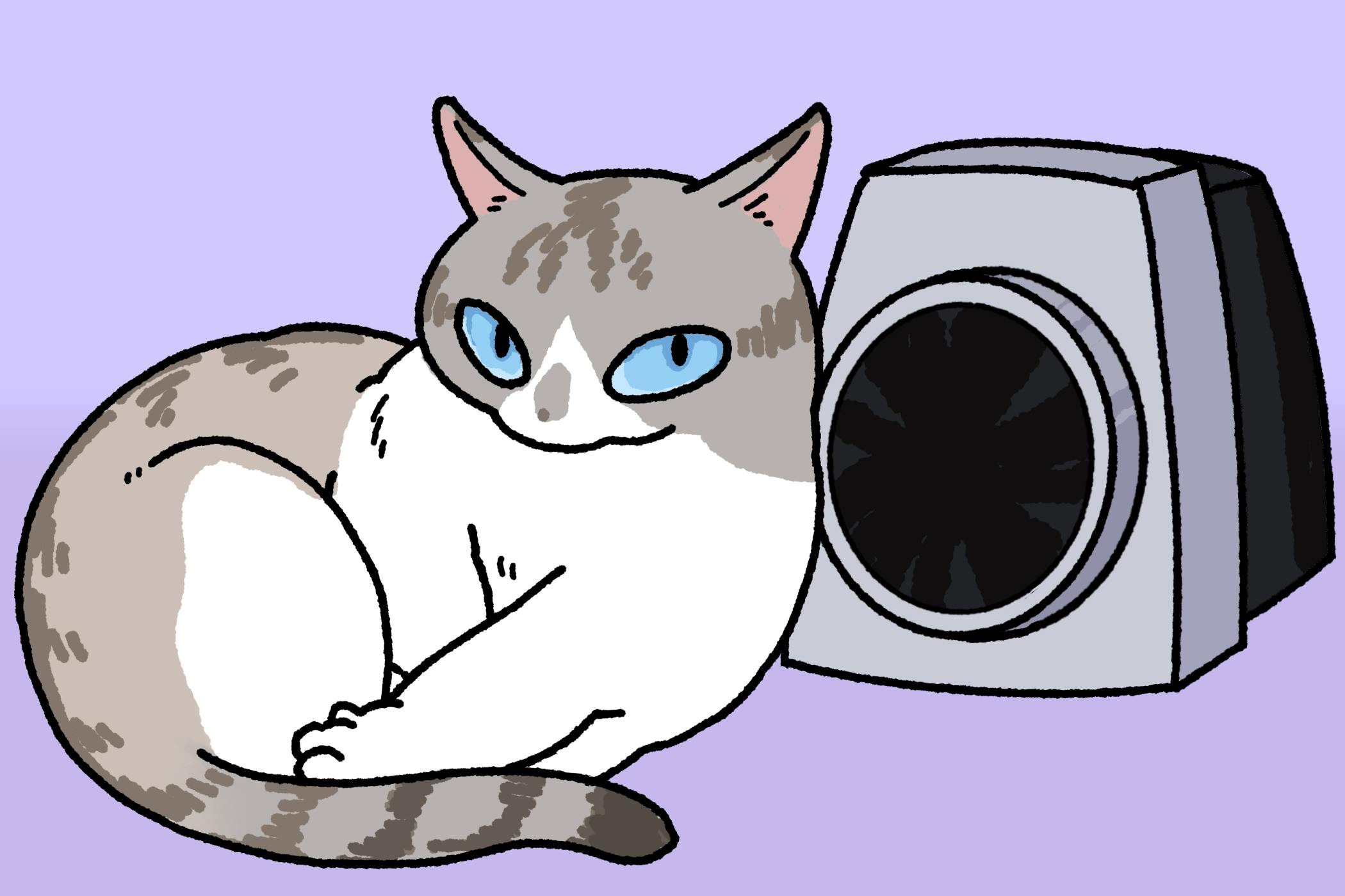 user avatar image for Ariel 