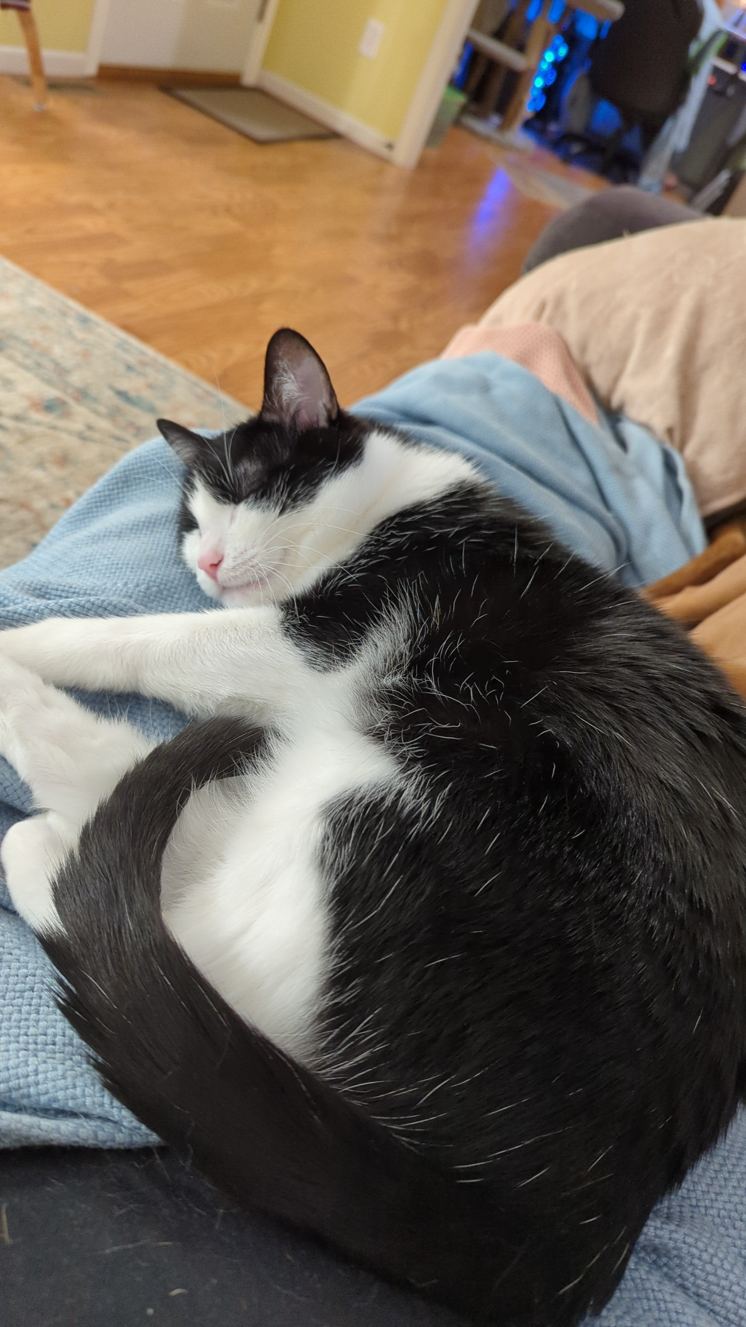 user avatar image for Rachel