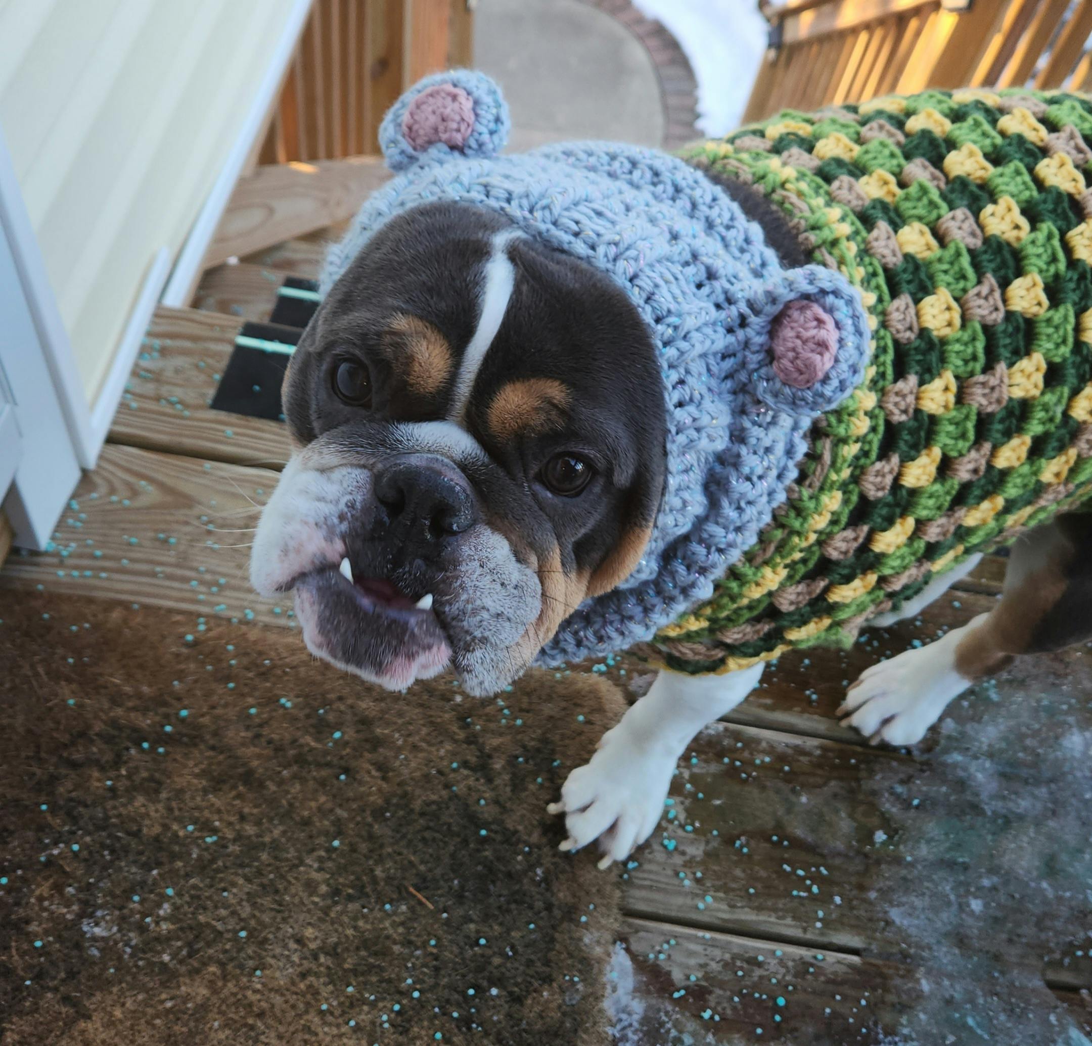 user avatar image for Mandi Wolff