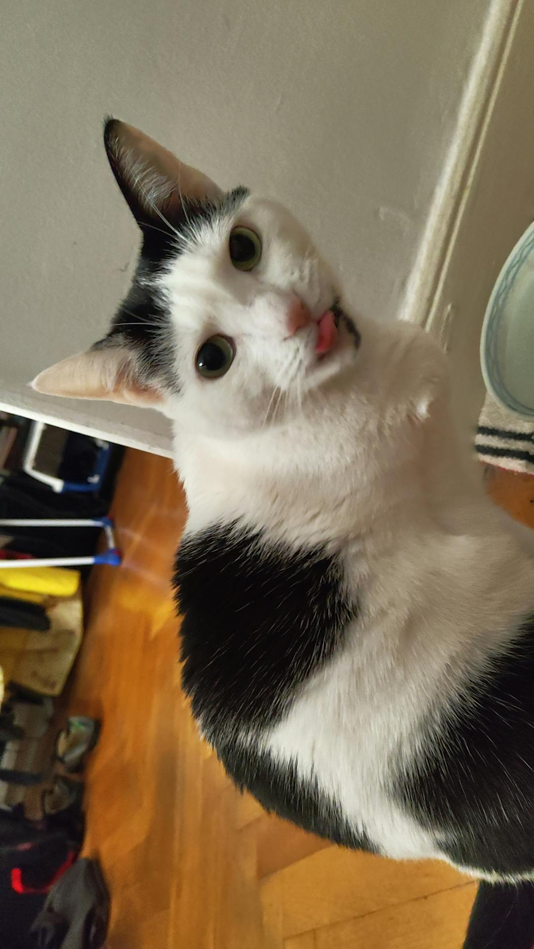 user avatar image for Silrow