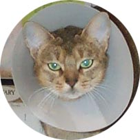 user avatar image for JoelxHickman