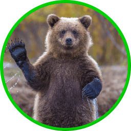 user avatar image for Ville Pilssari