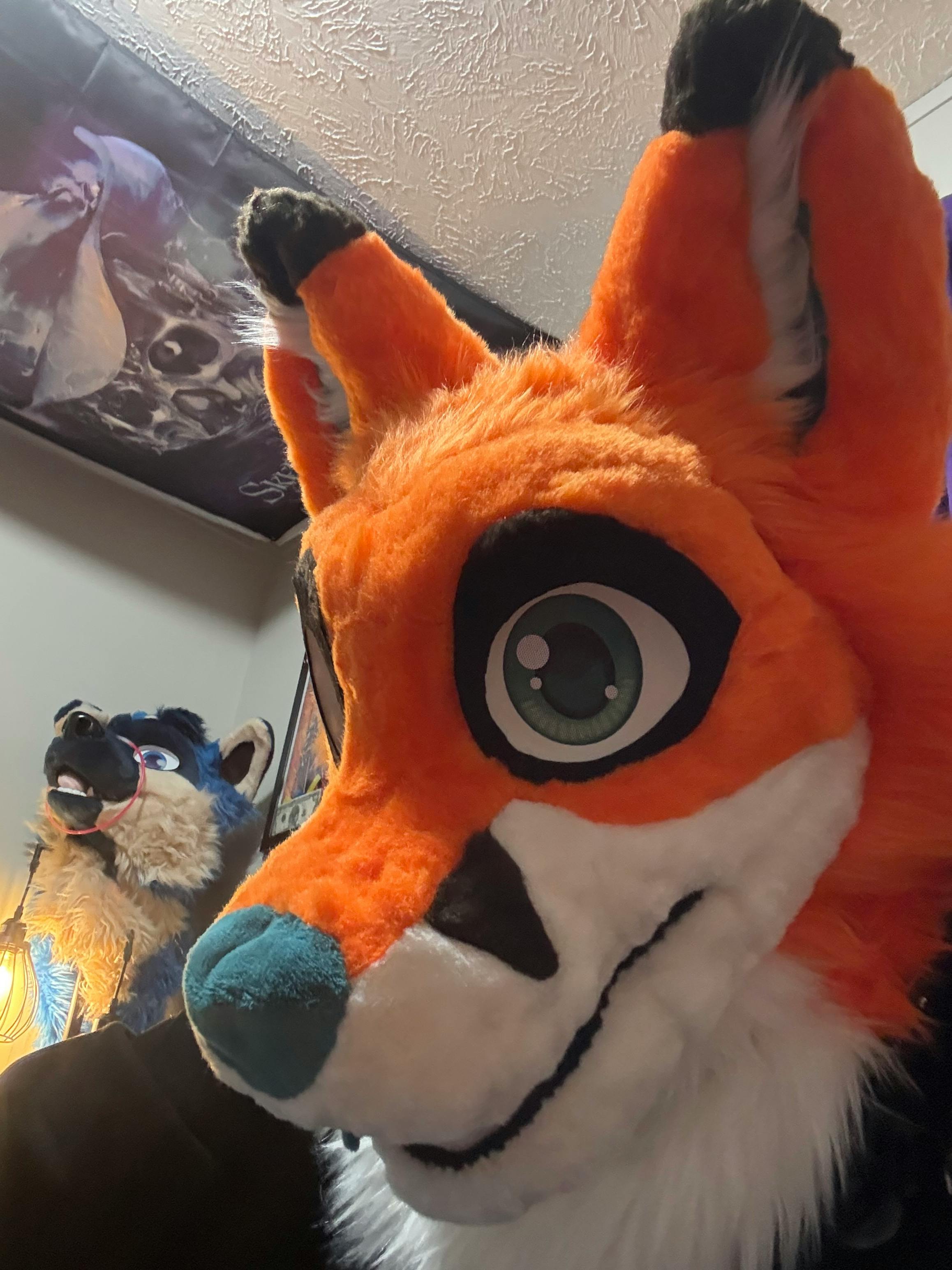 user avatar image for RocketFoxx