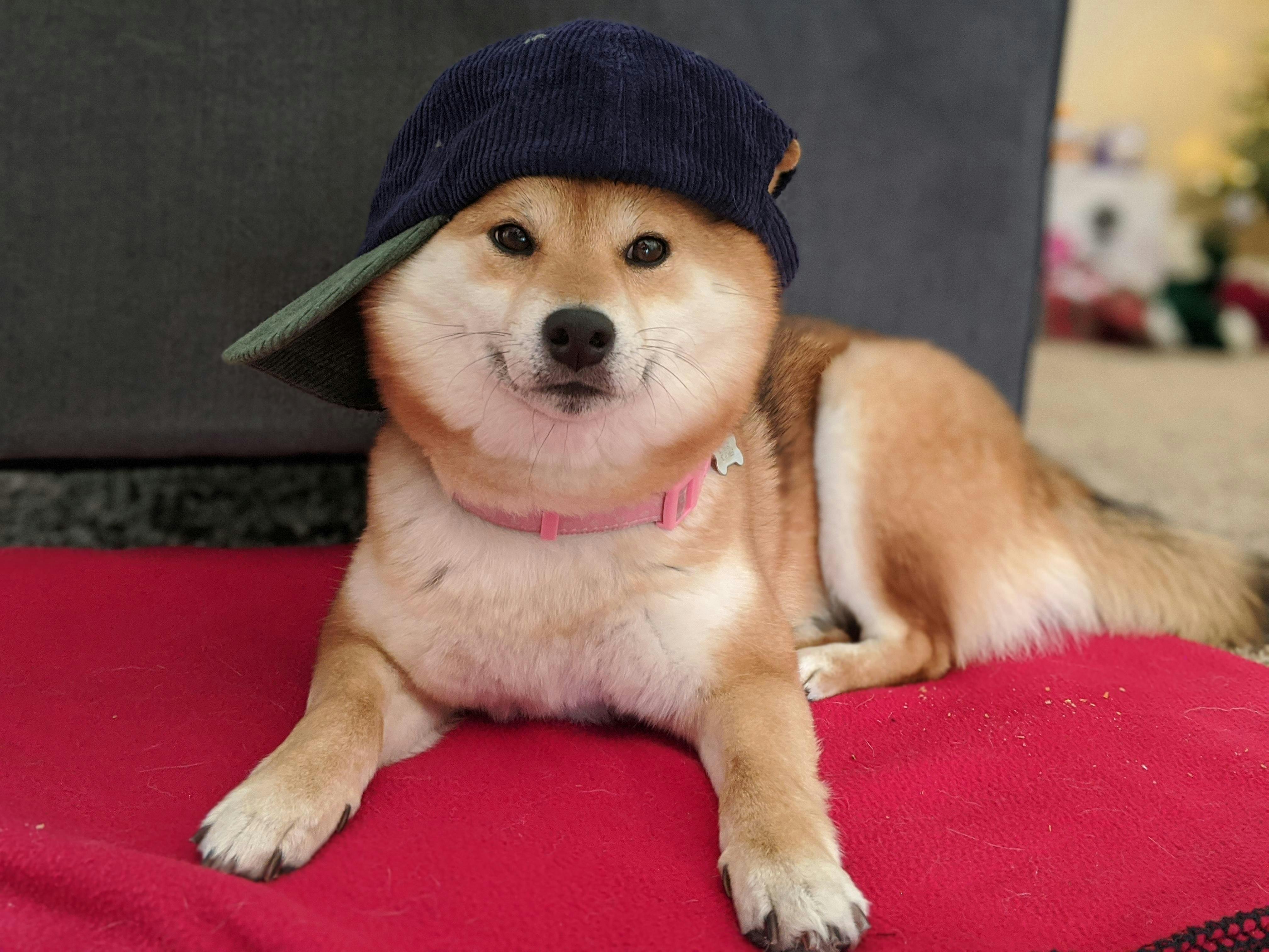 user avatar image for Dodger 