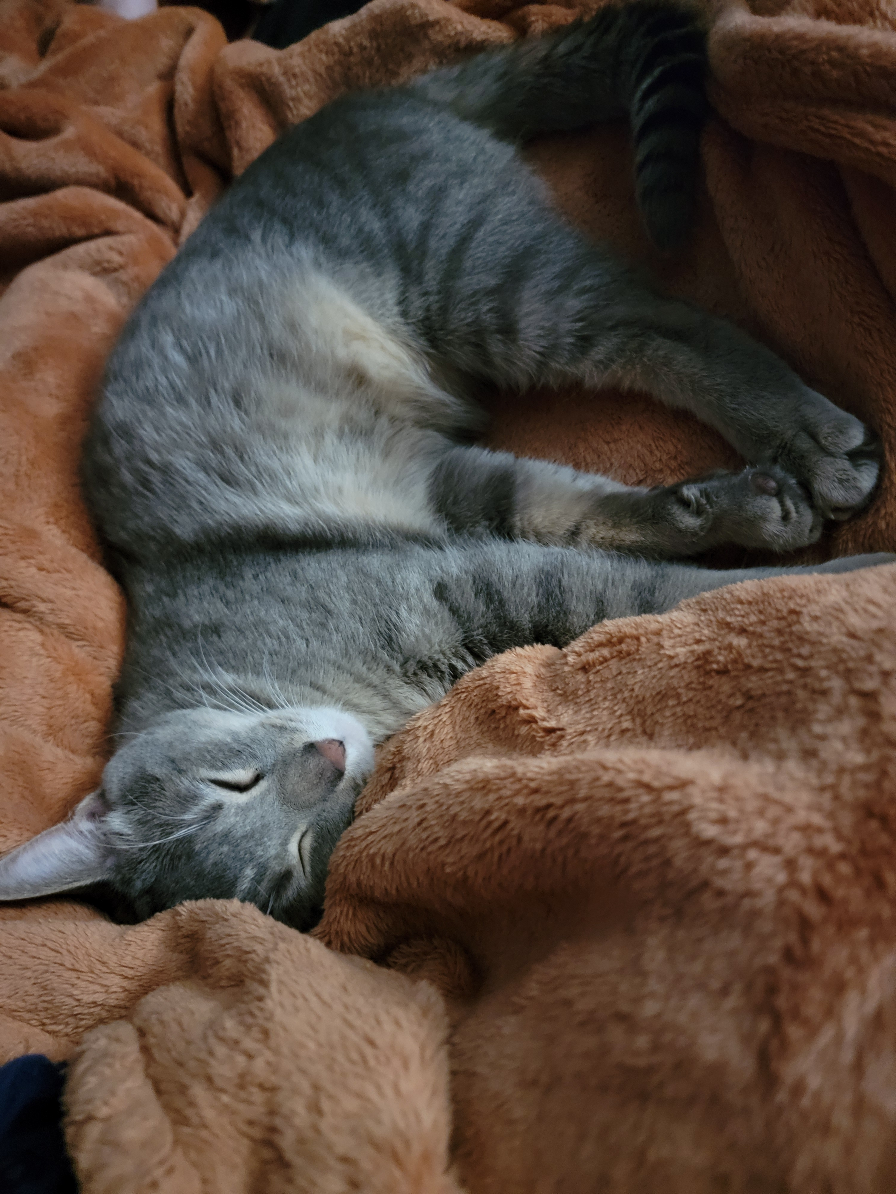 user avatar image for Valkyrie