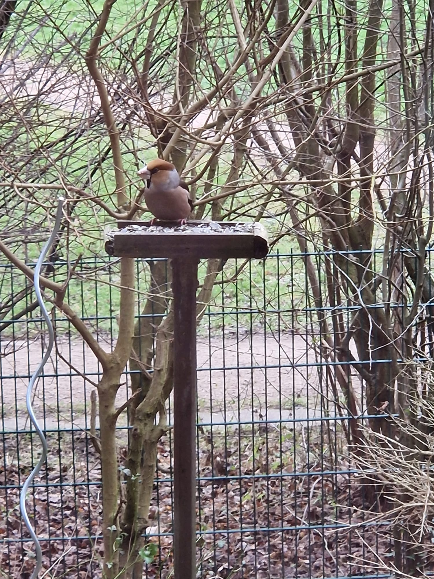 user avatar image for The Kilian 