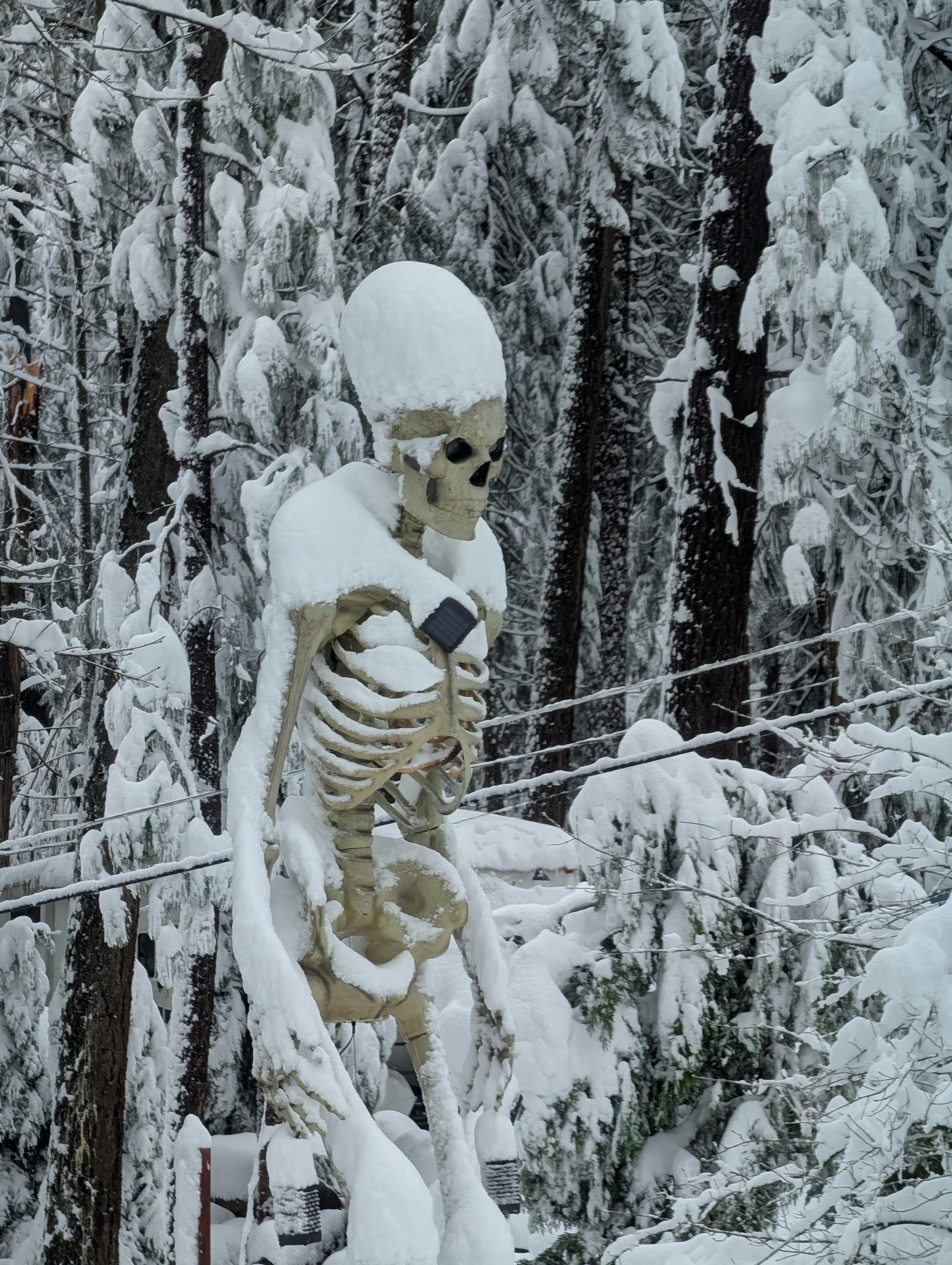 user avatar image for Robert Mathis