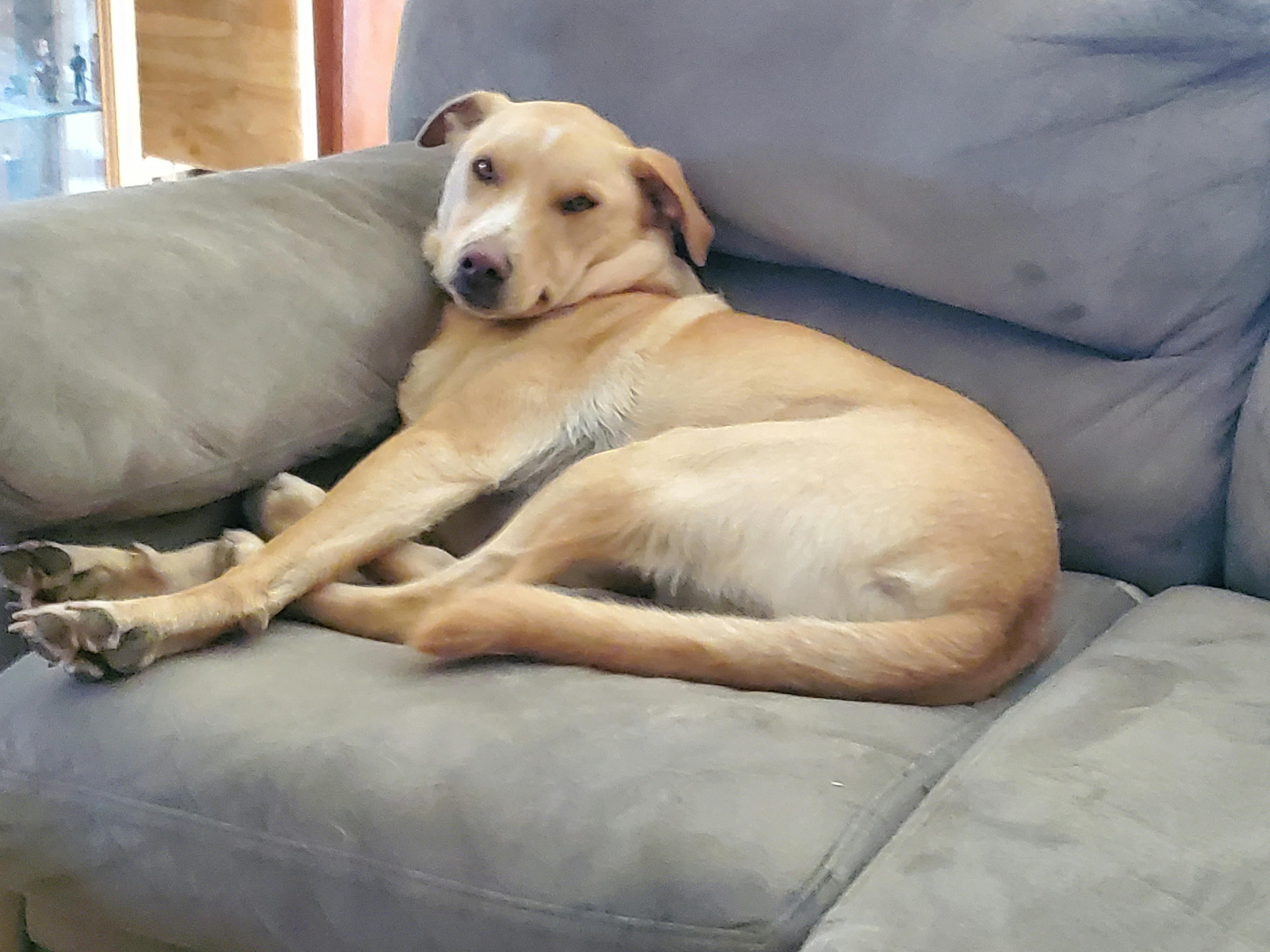 user avatar image for Tod Huckaby