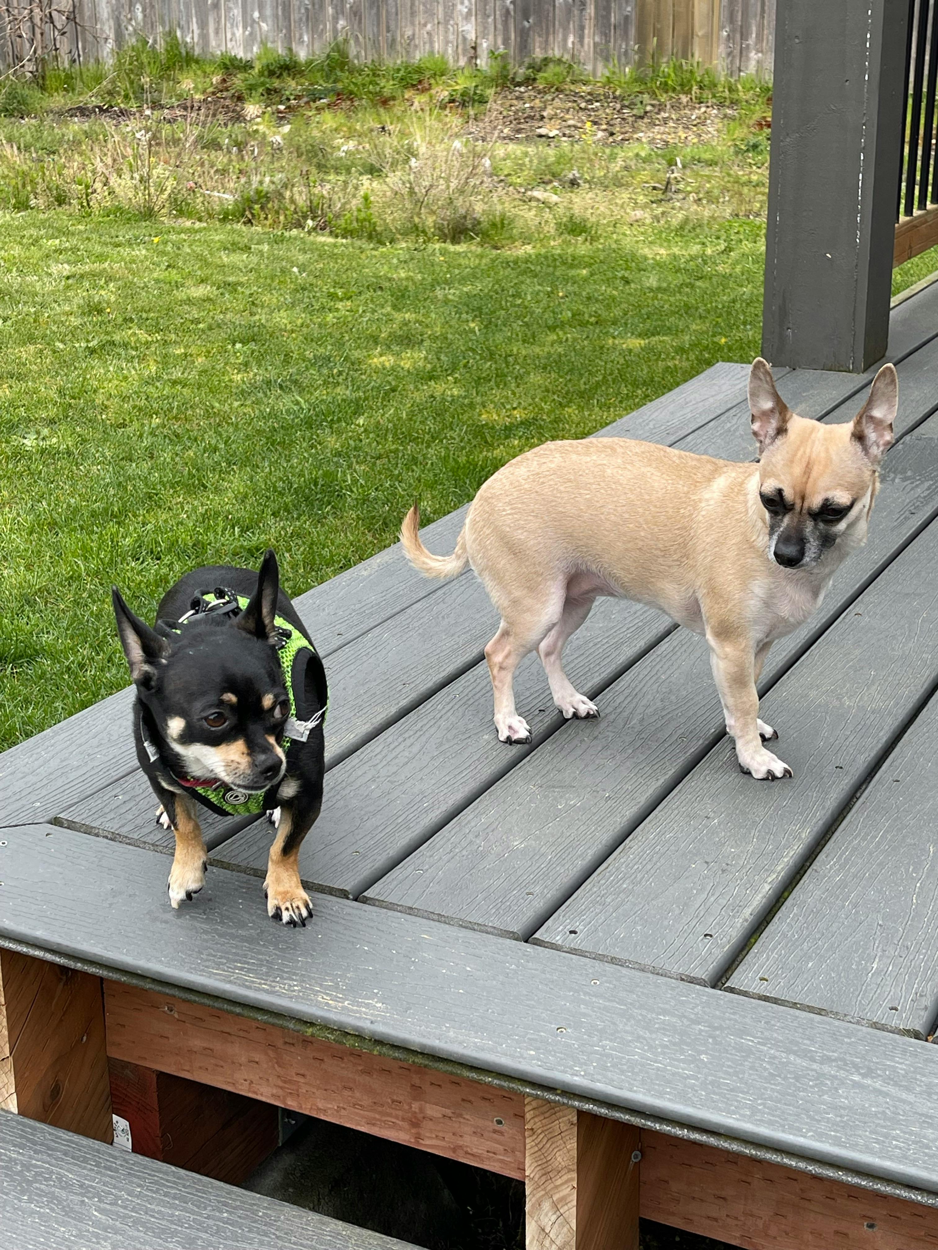 user avatar image for Angie