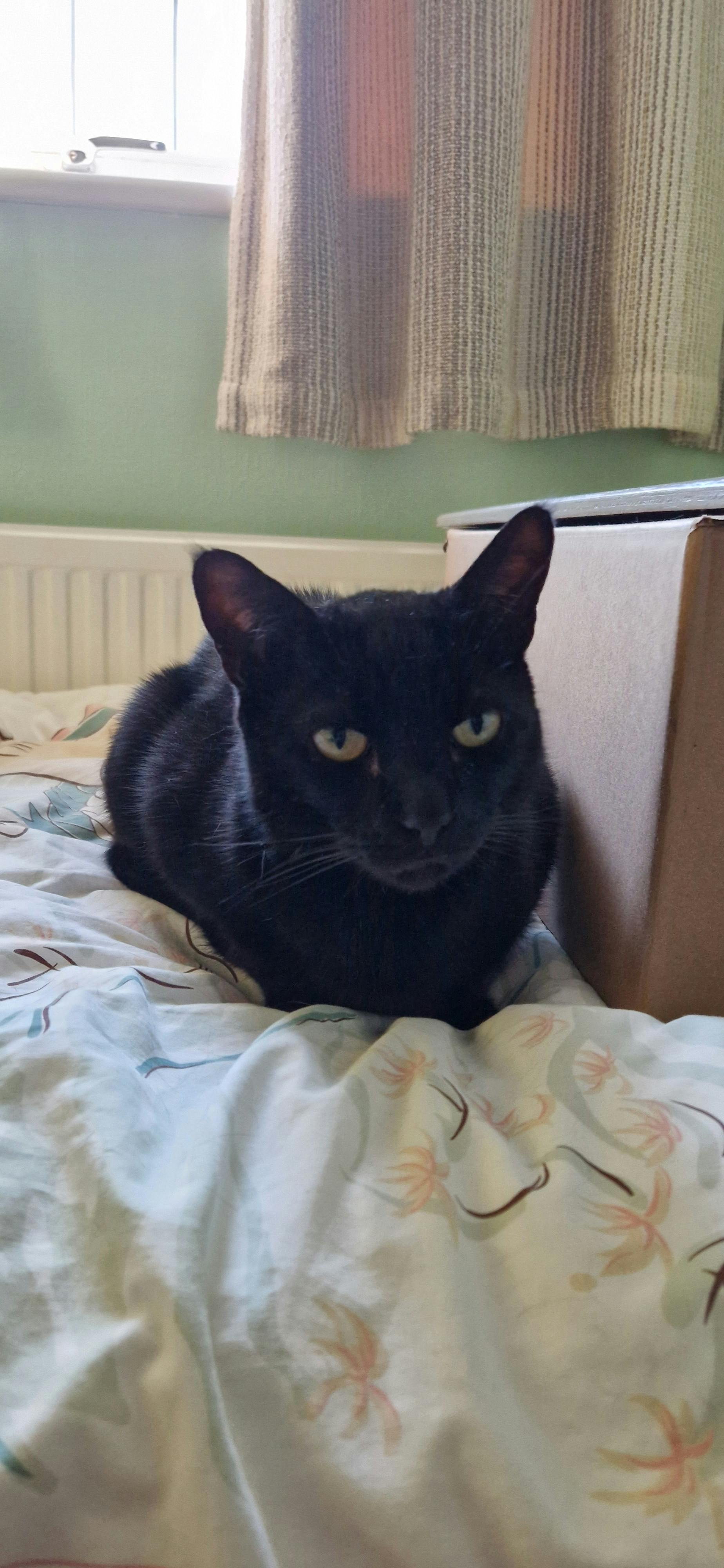 user avatar image for Selina G