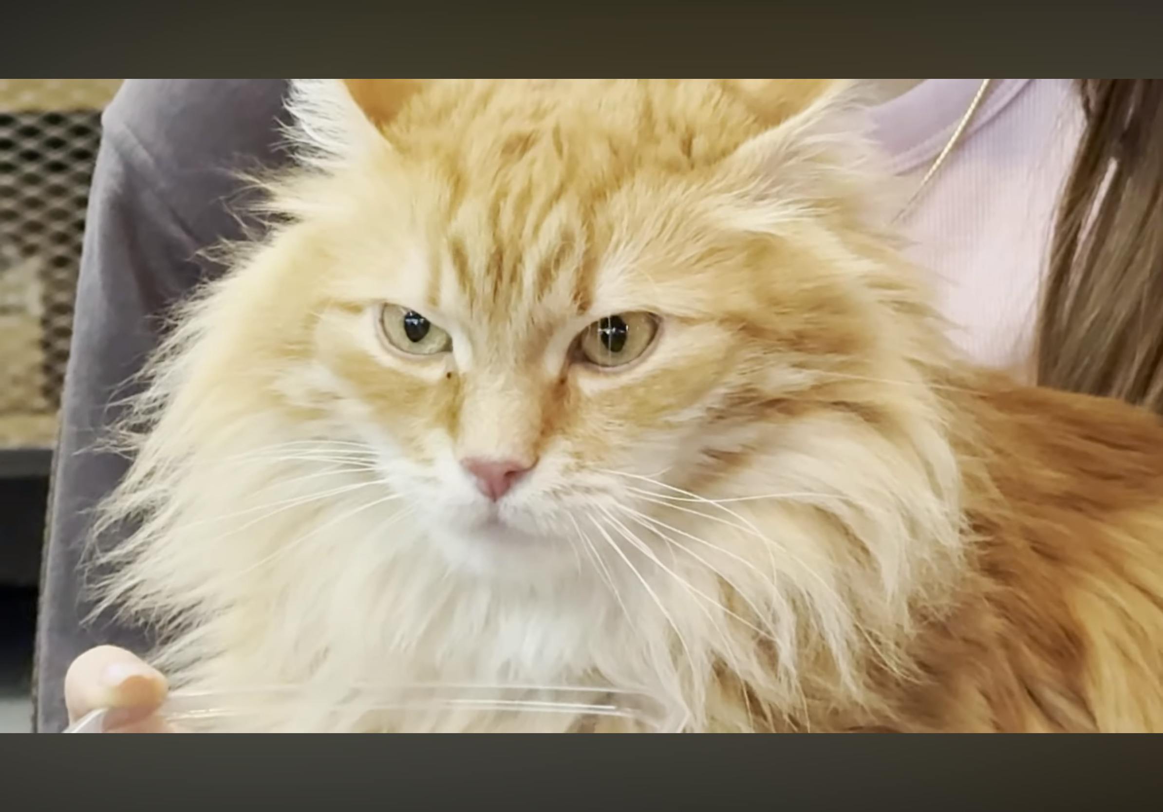 user avatar image for Zrex72