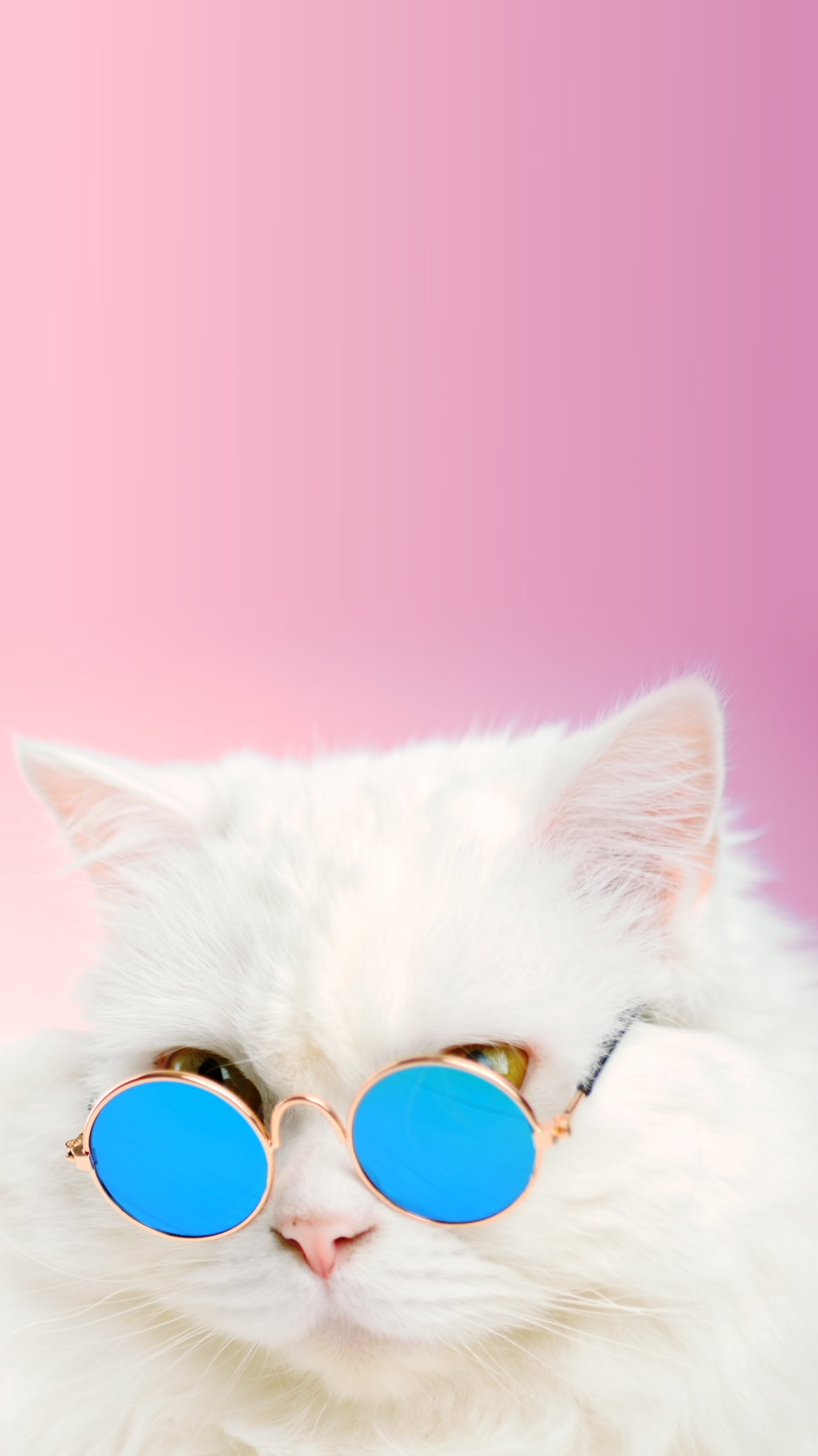 user avatar image for Imani