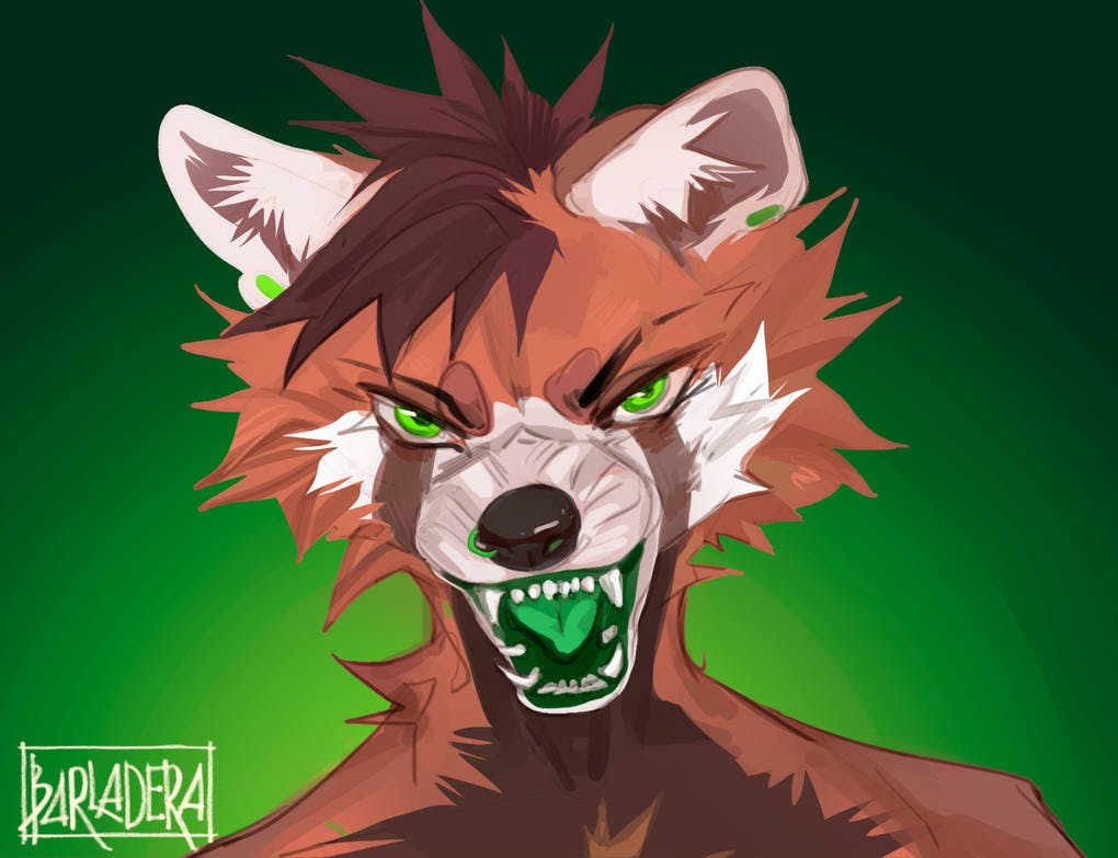 user avatar image for Envi