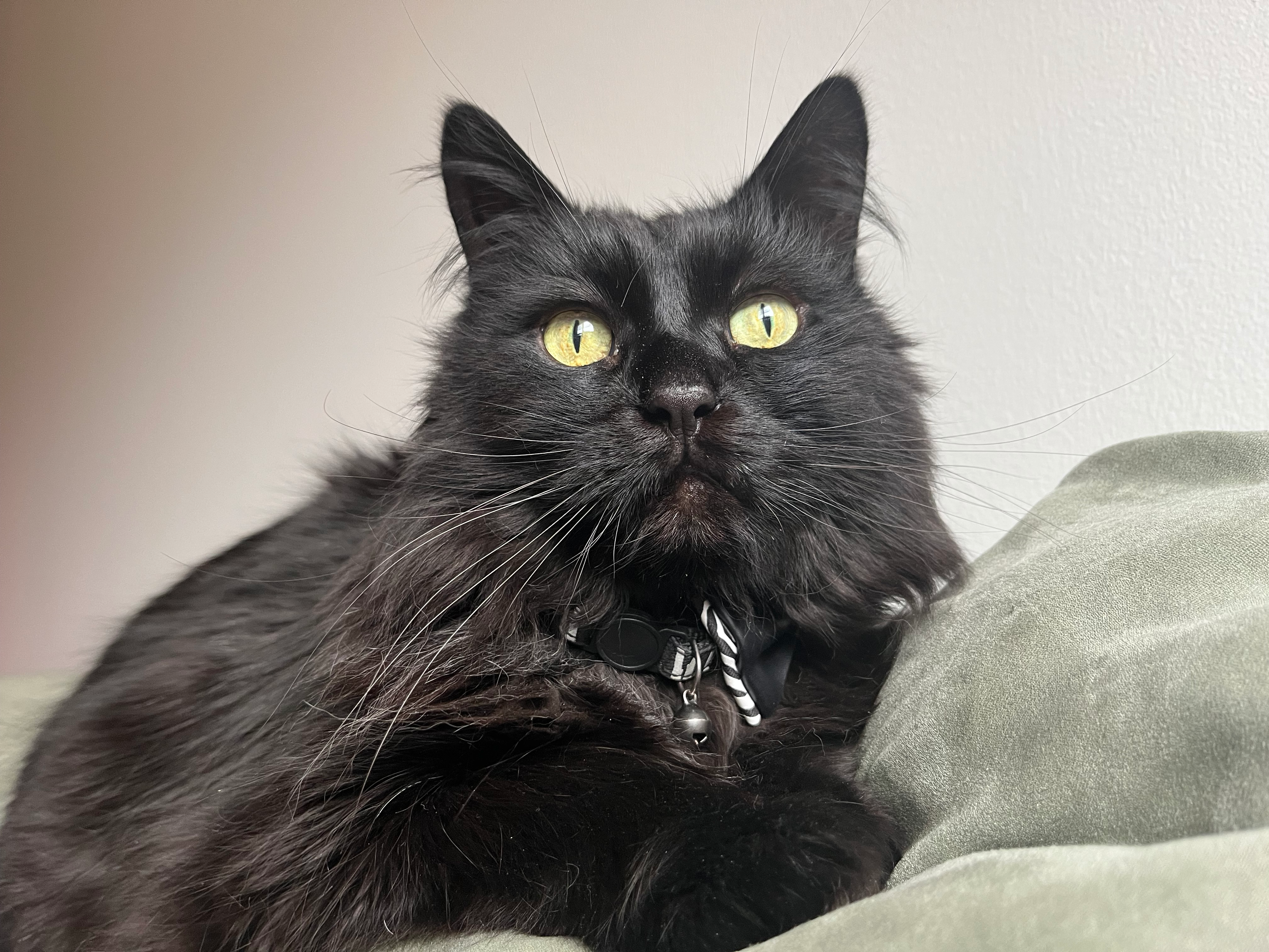 user avatar image for Kwielech