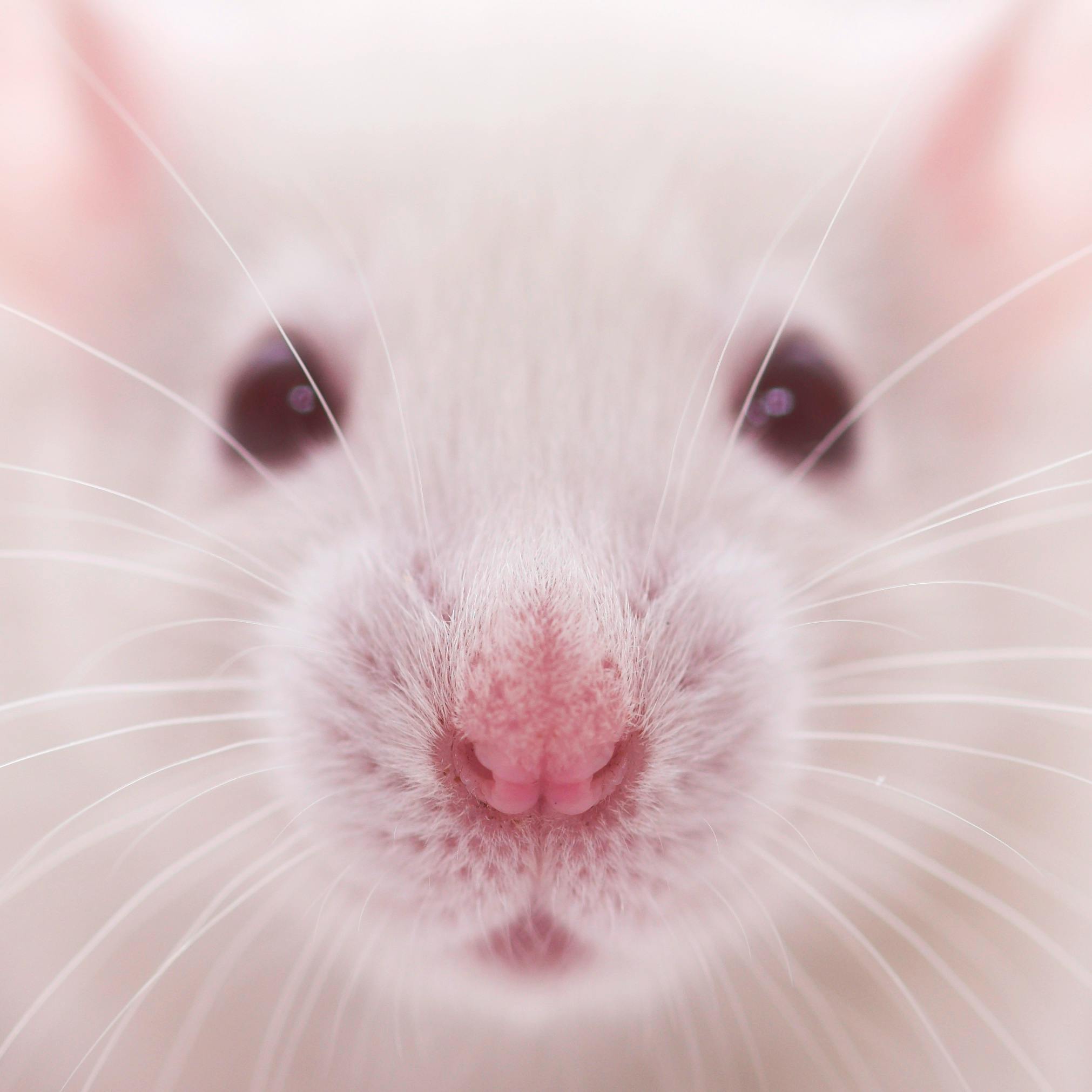 user avatar image for Tiny