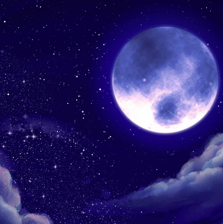 user avatar image for IHaveExtremeSocialAnxiety