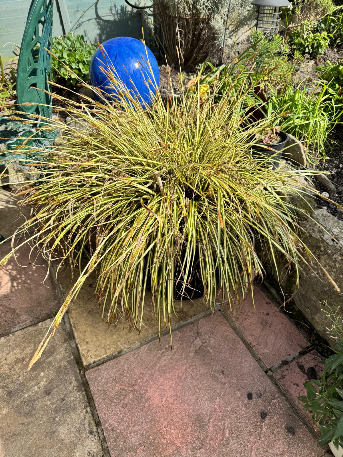 user avatar image for Chris Bardsley