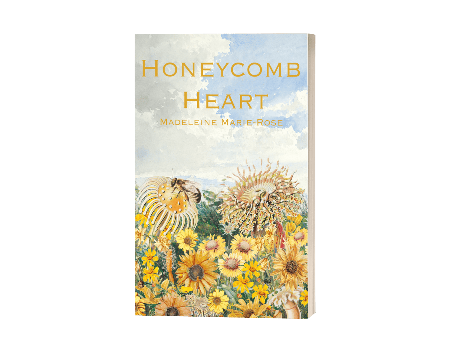 Additional large print paperback