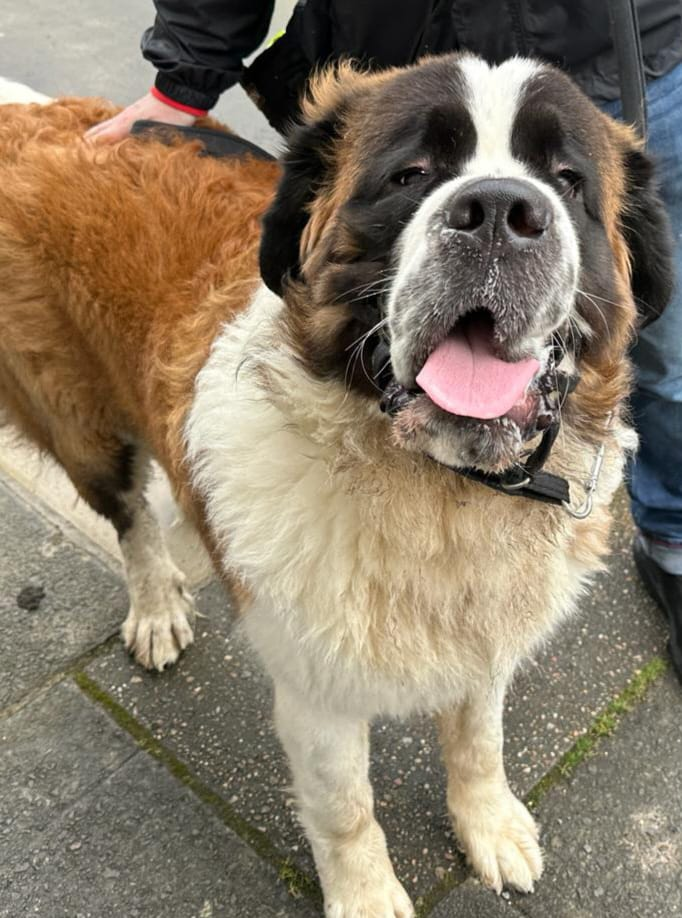 user avatar image for Heldane616