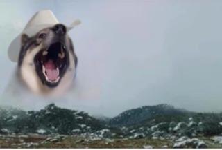 user avatar image for Snzzn