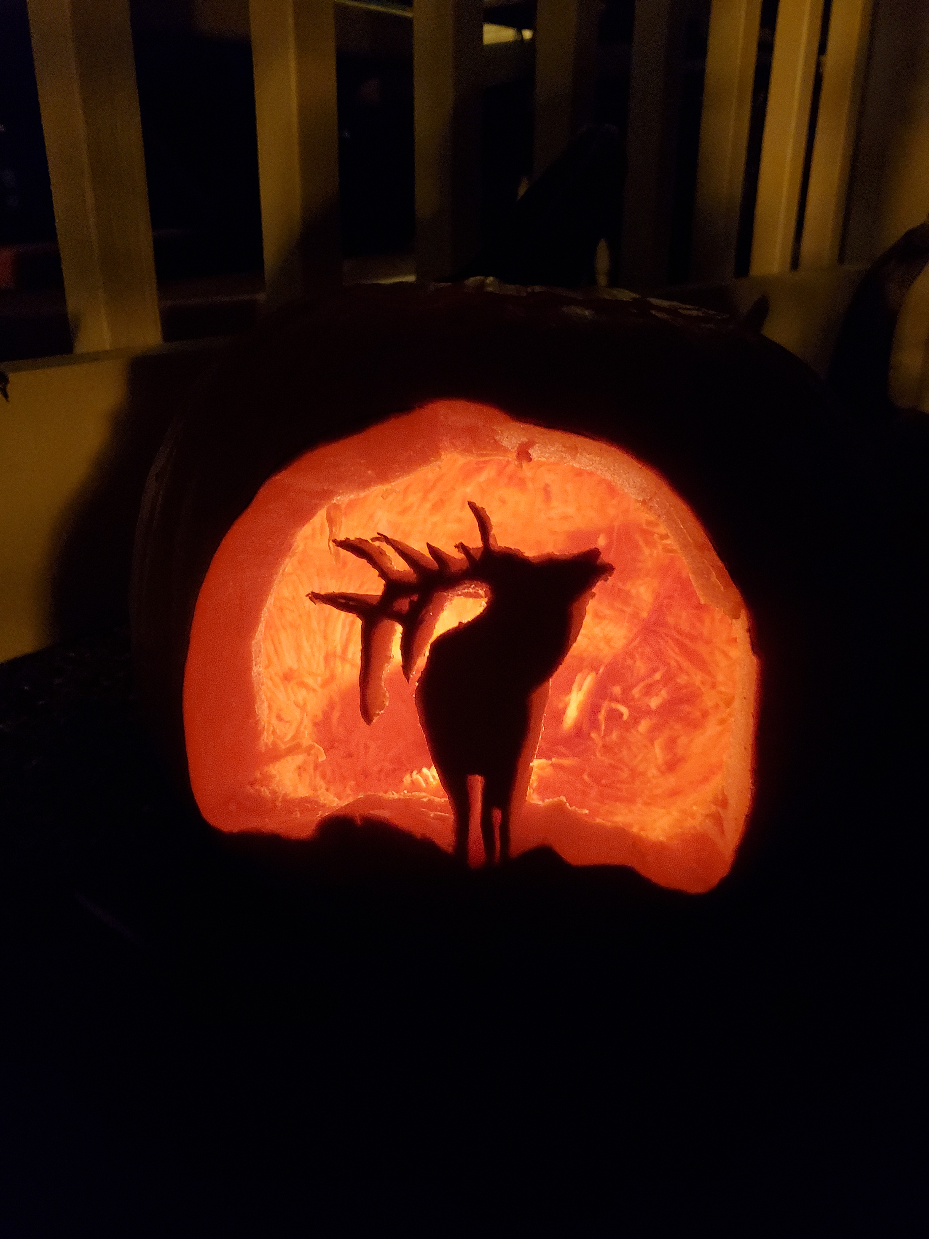 user avatar image for Jason Nugent