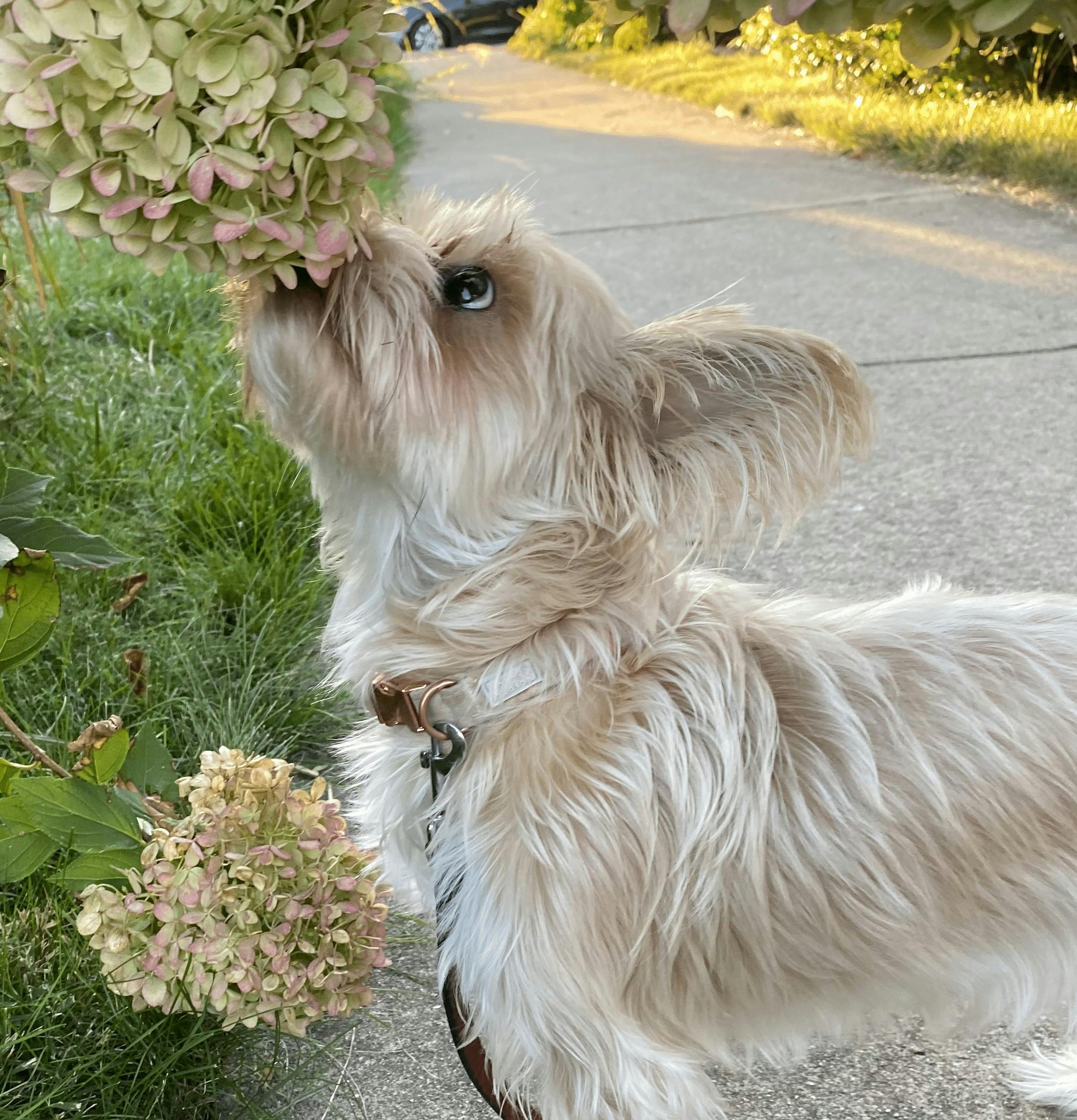 user avatar image for Rachel