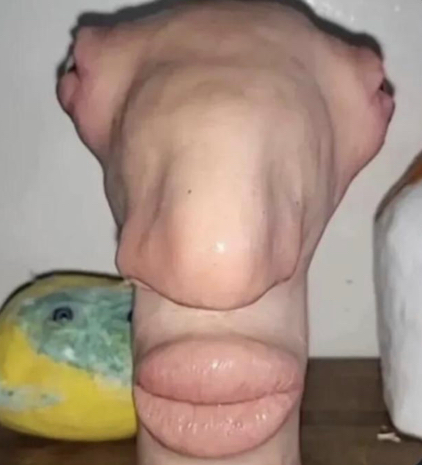 user avatar image for Arthur Morgan’s Cumrag