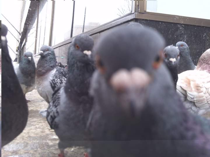 user avatar image for Walter wojcik 