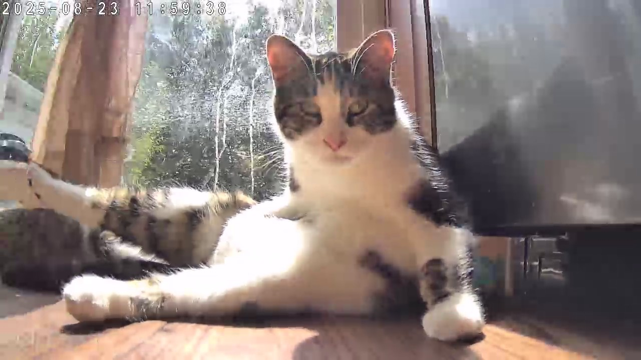 user avatar image for Zack