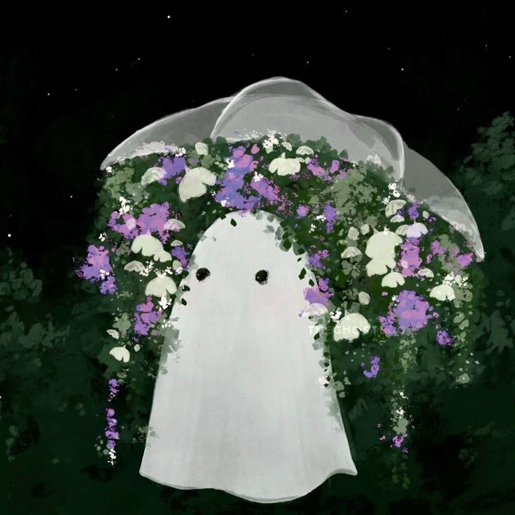 user avatar image for Tao Weber