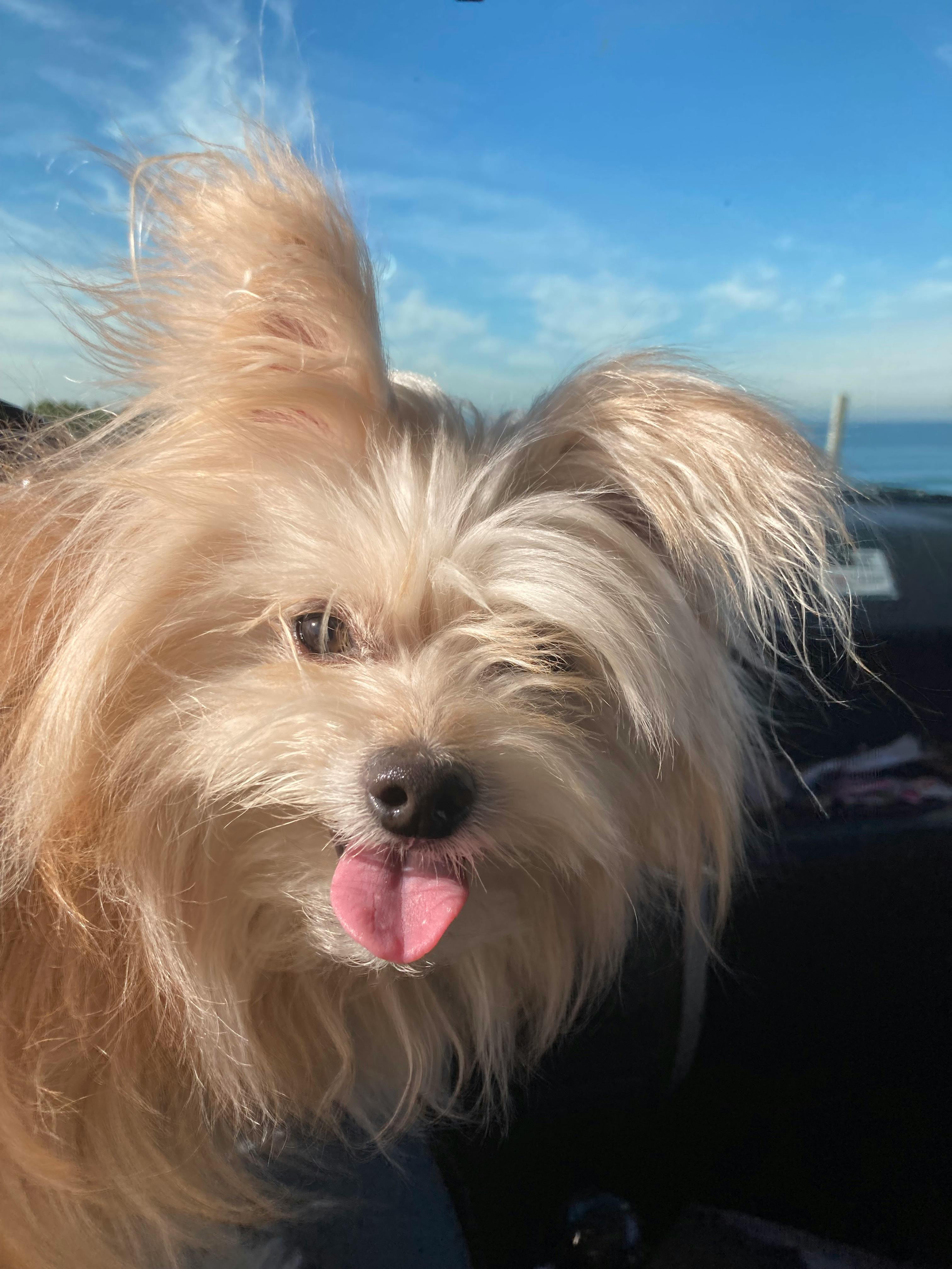 user avatar image for Tyler Tinsley