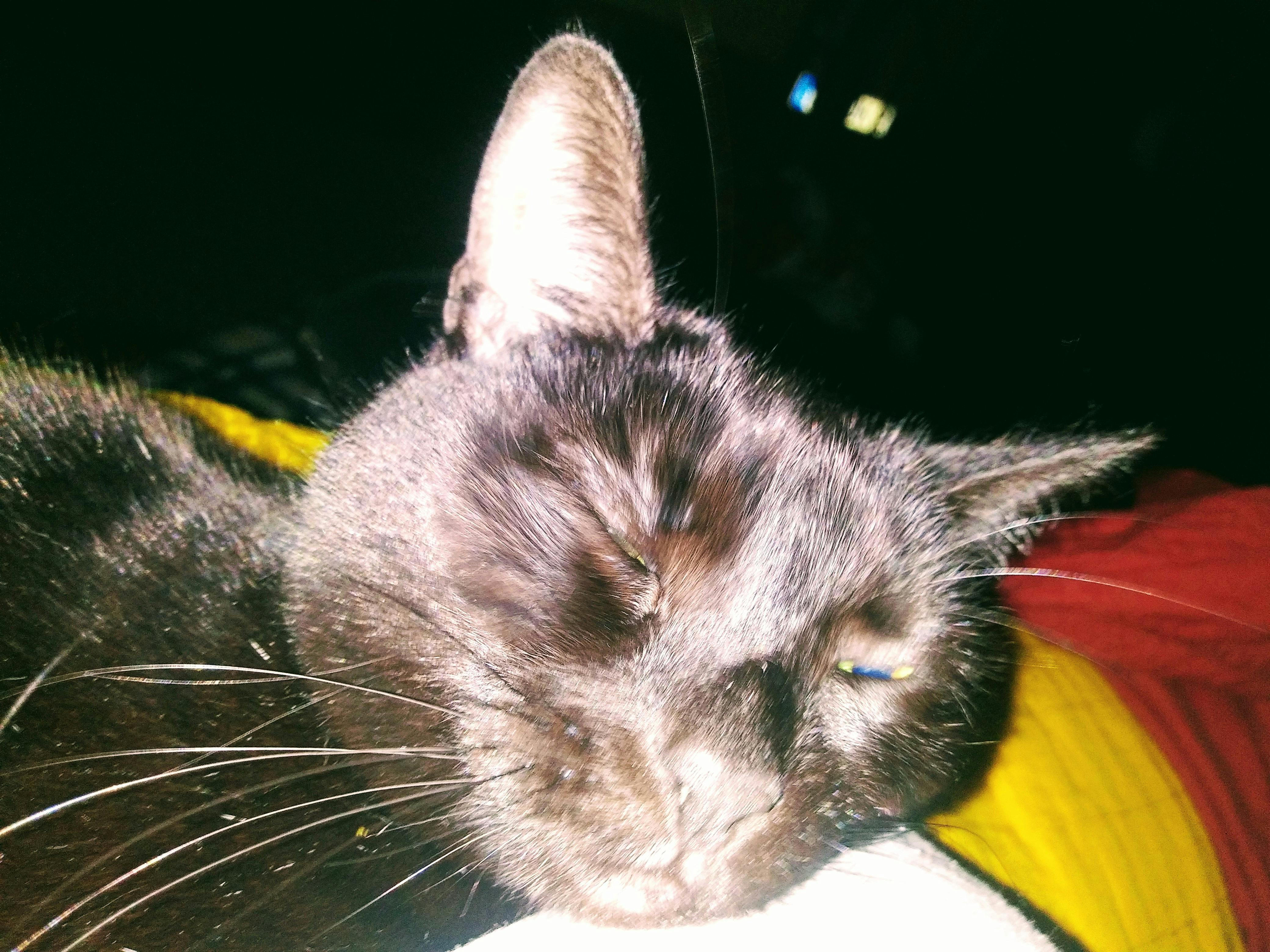 user avatar image for Beurrebon