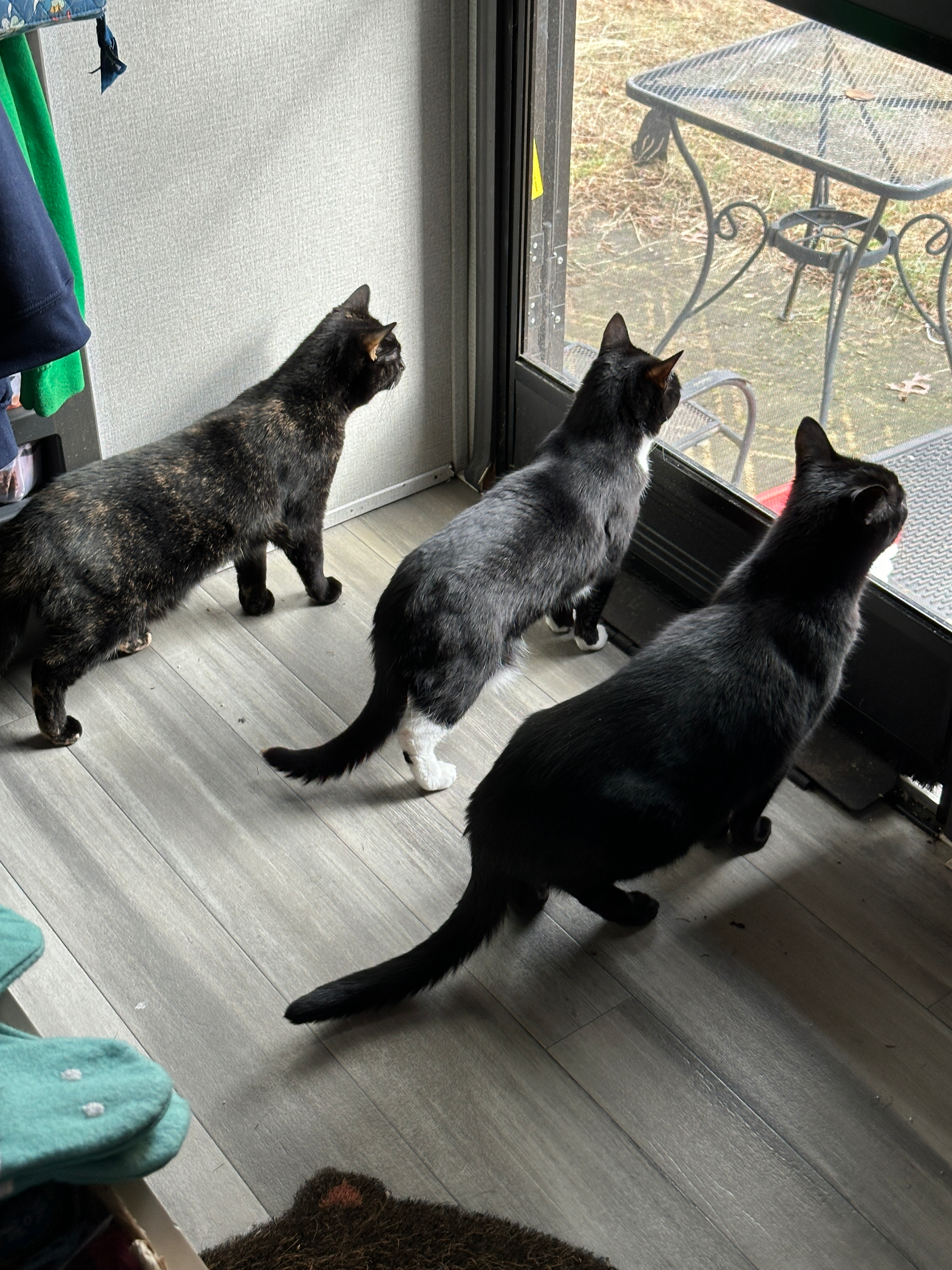 user avatar image for Jess