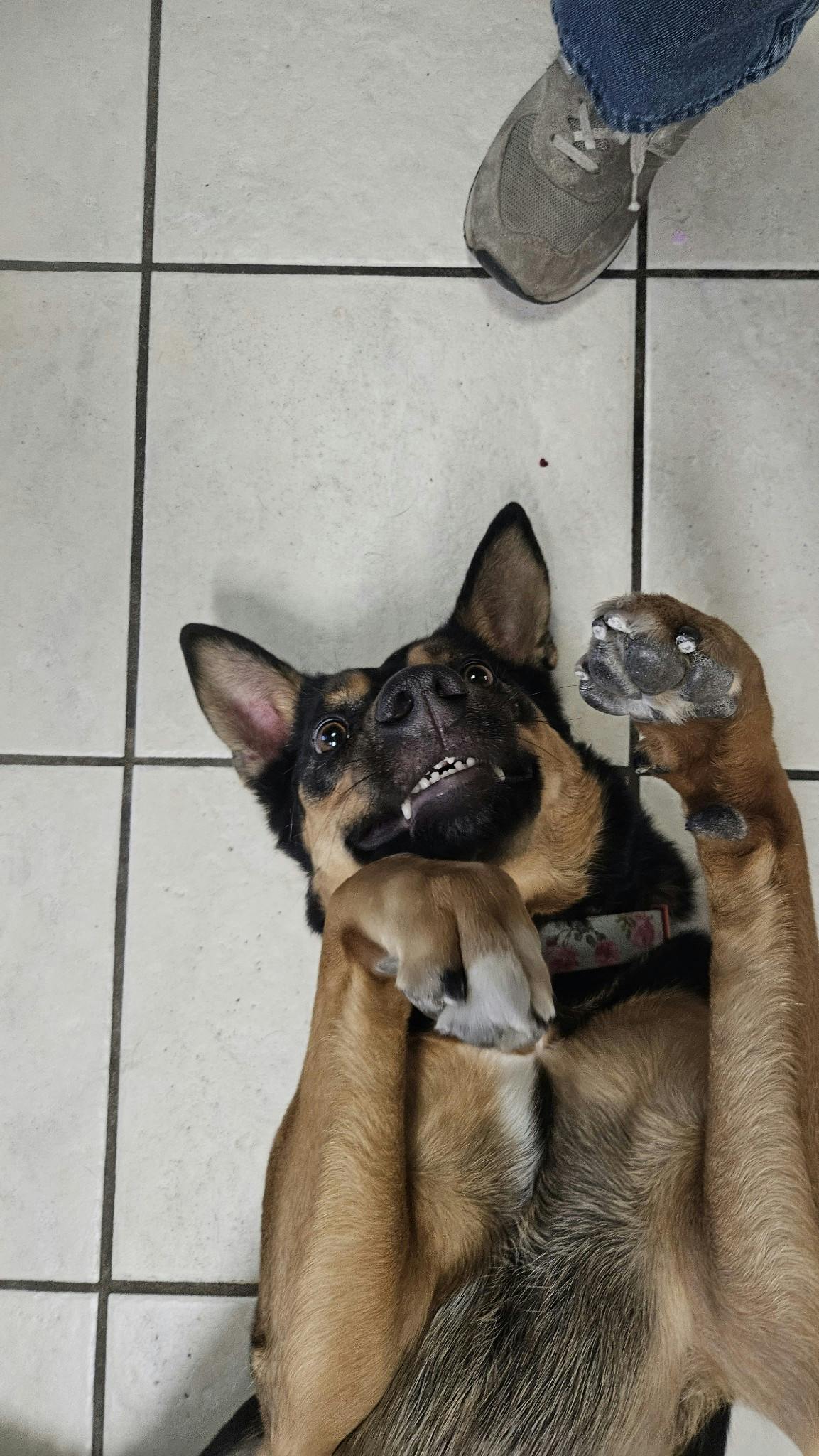 user avatar image for Angie