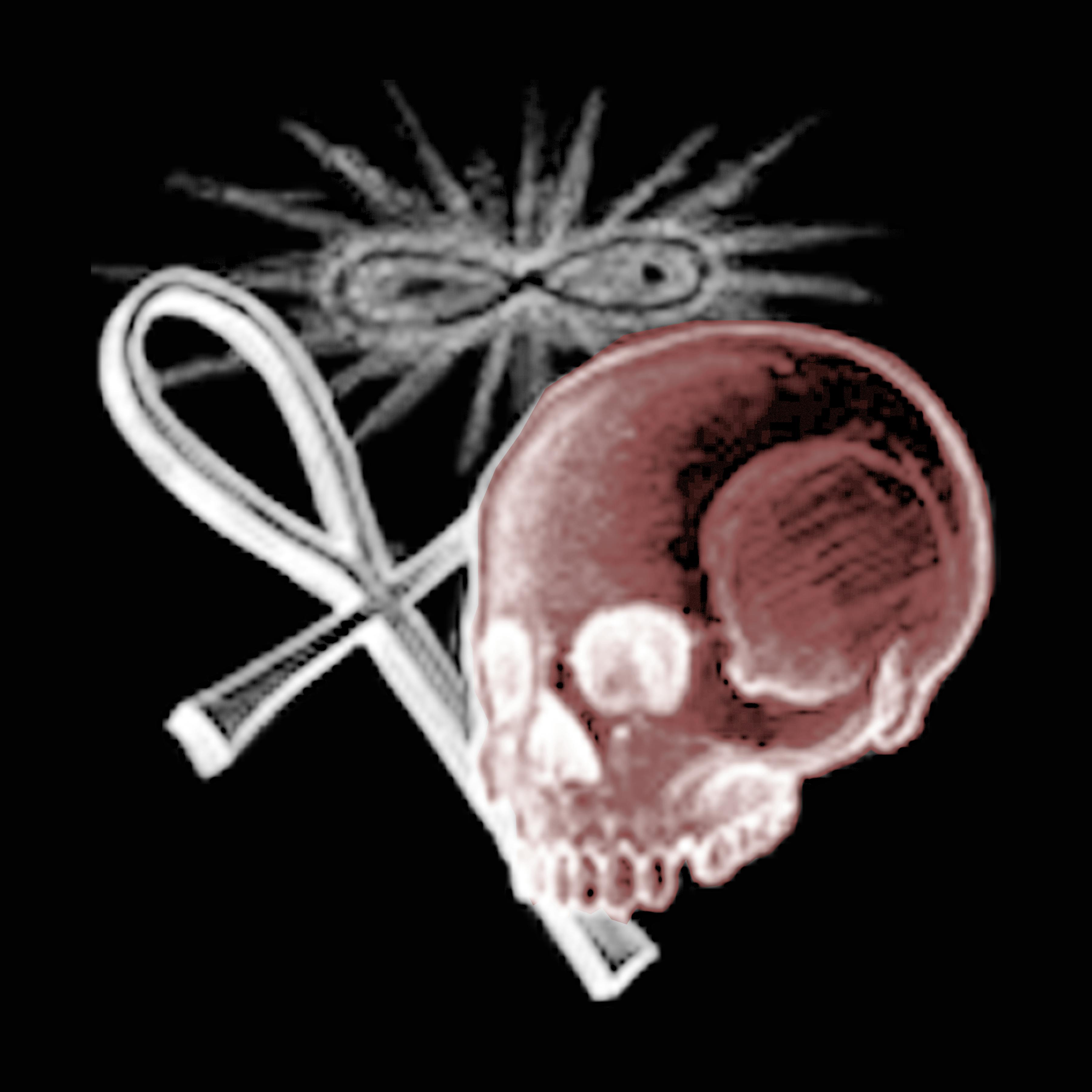 user avatar image for Thomas Carpenter